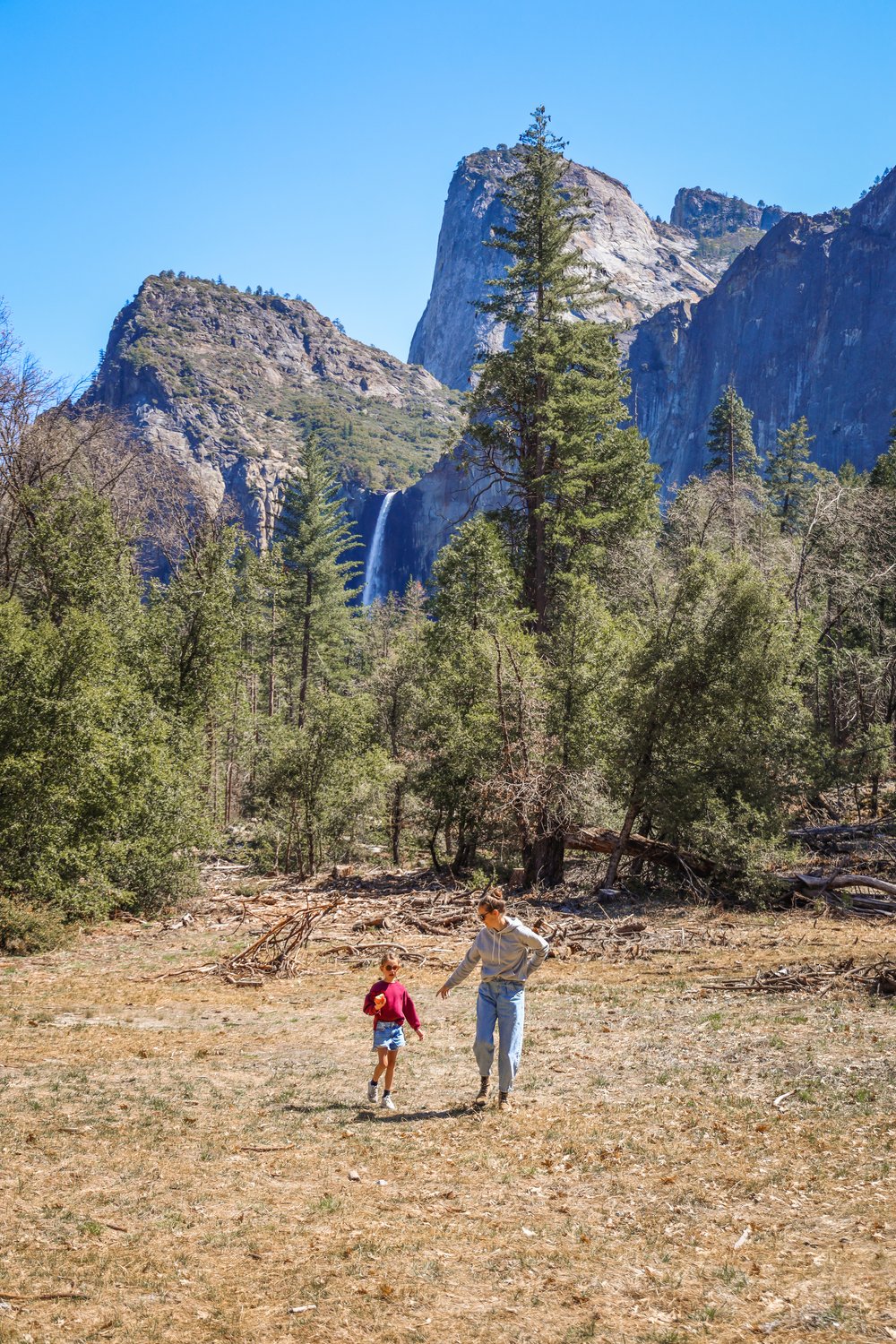 reizen naar West Kust USA - Yosemite_-12.jpg