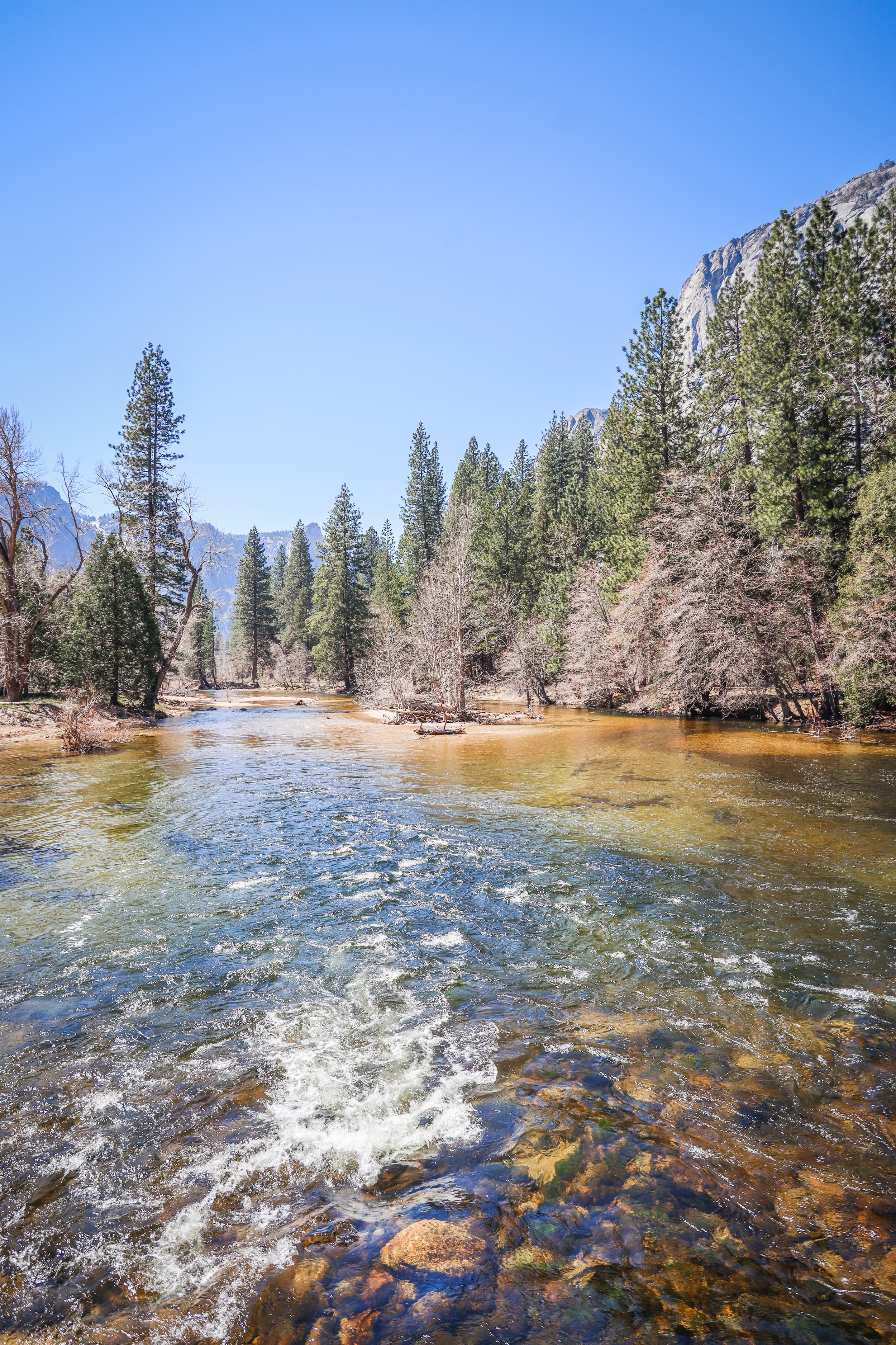 reizen naar West Kust USA - Yosemite_-28.jpg