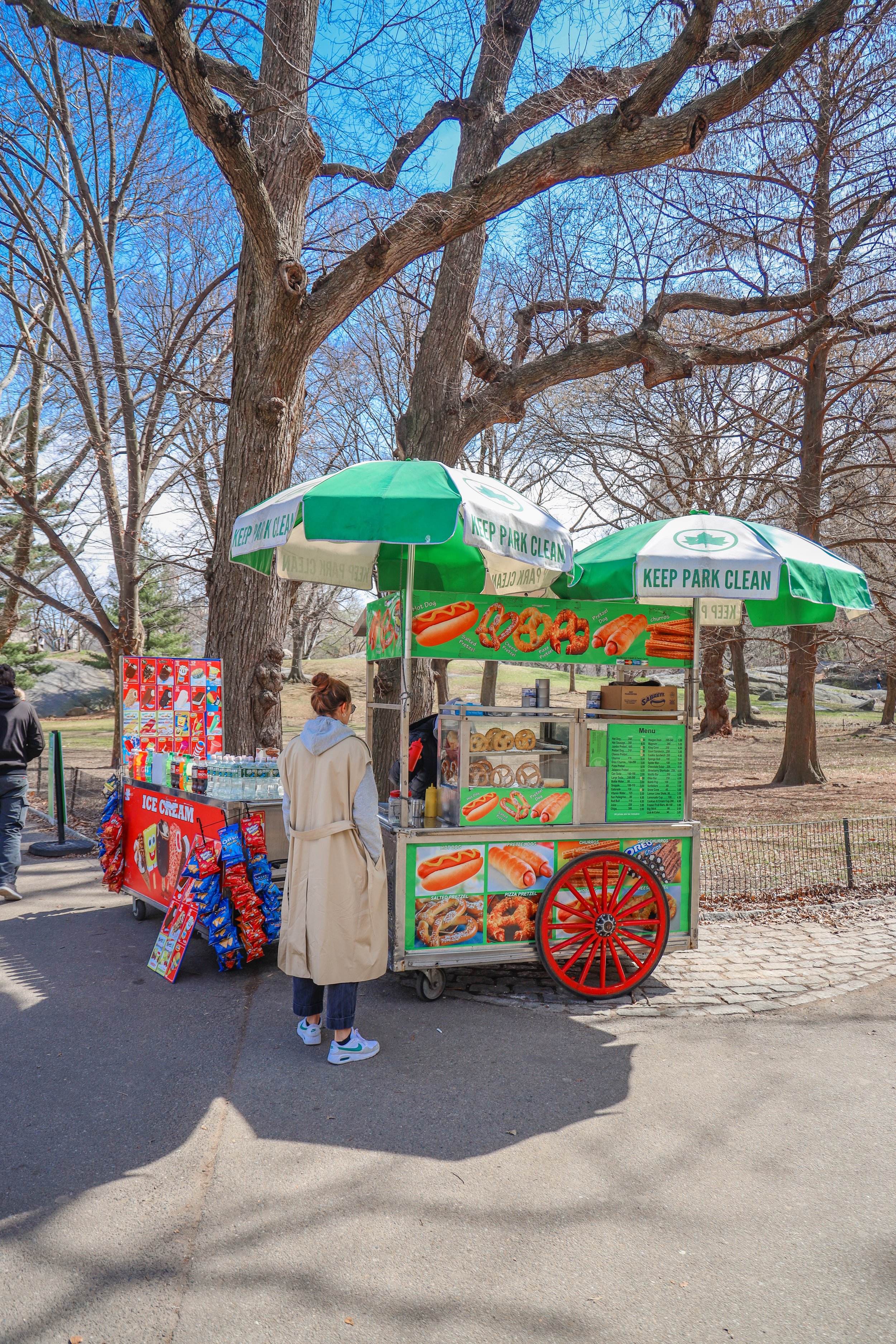 New York - Heckscher playground - Central Park Carousel-----8.jpg