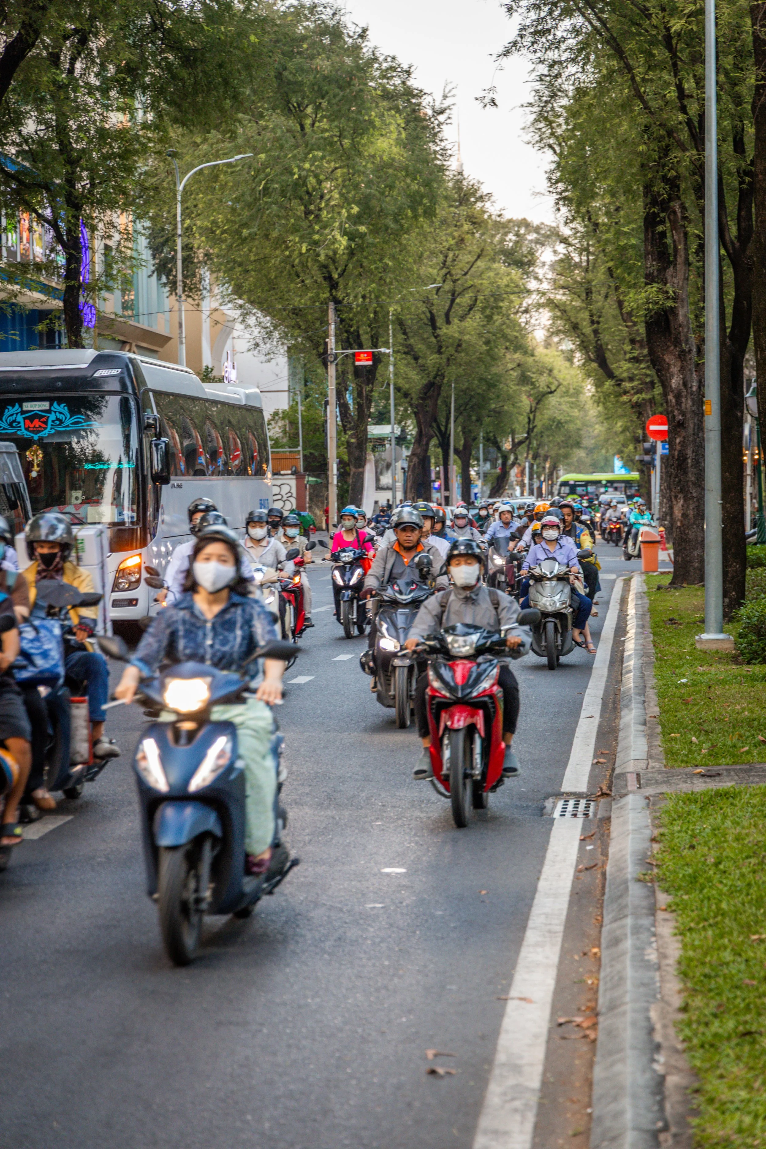 Vietnam_Koning Aap-15.jpg