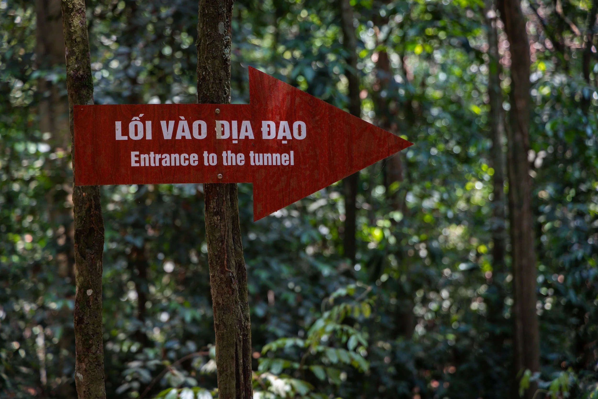 Vietnam_Koning Aap-33.jpg
