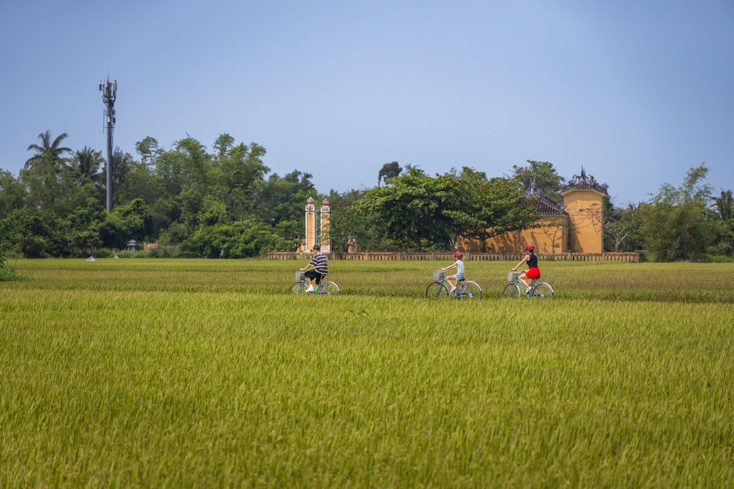 Vietnam_Koning Aap-187.jpg