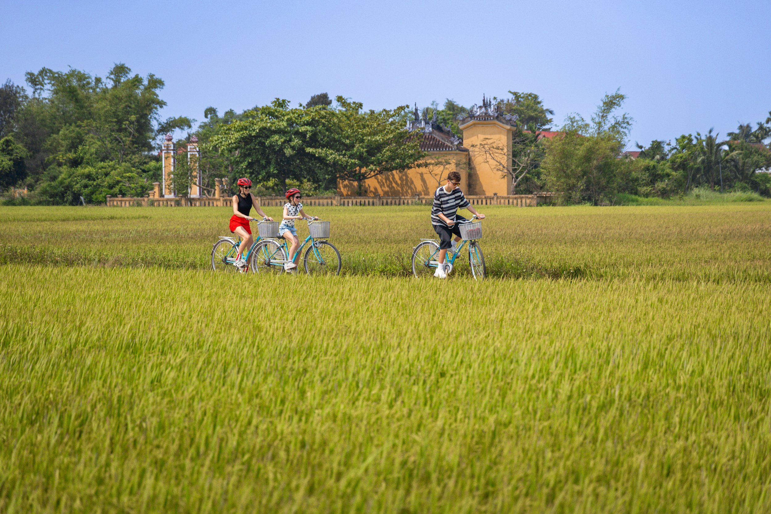 Vietnam_Koning Aap-195.jpg