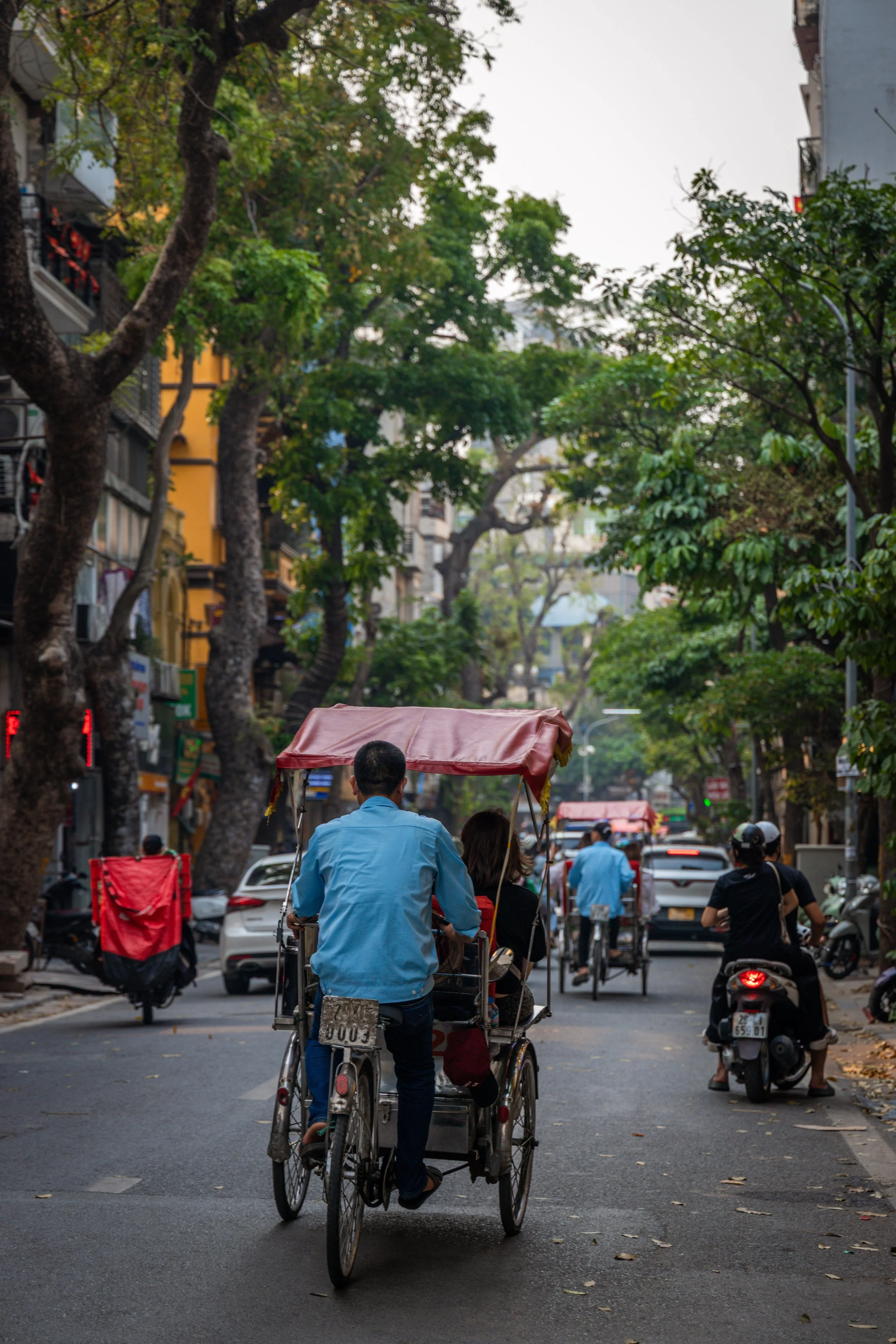 Vietnam_Koning Aap-496.jpg