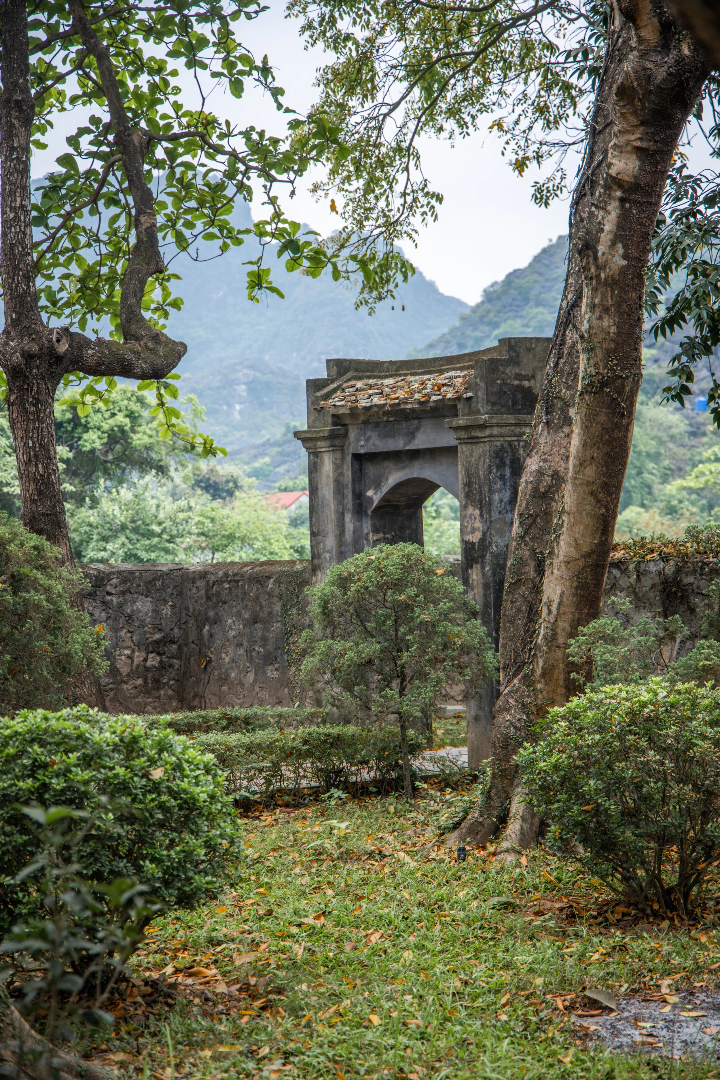 Vietnam_Koning Aap-686.jpg