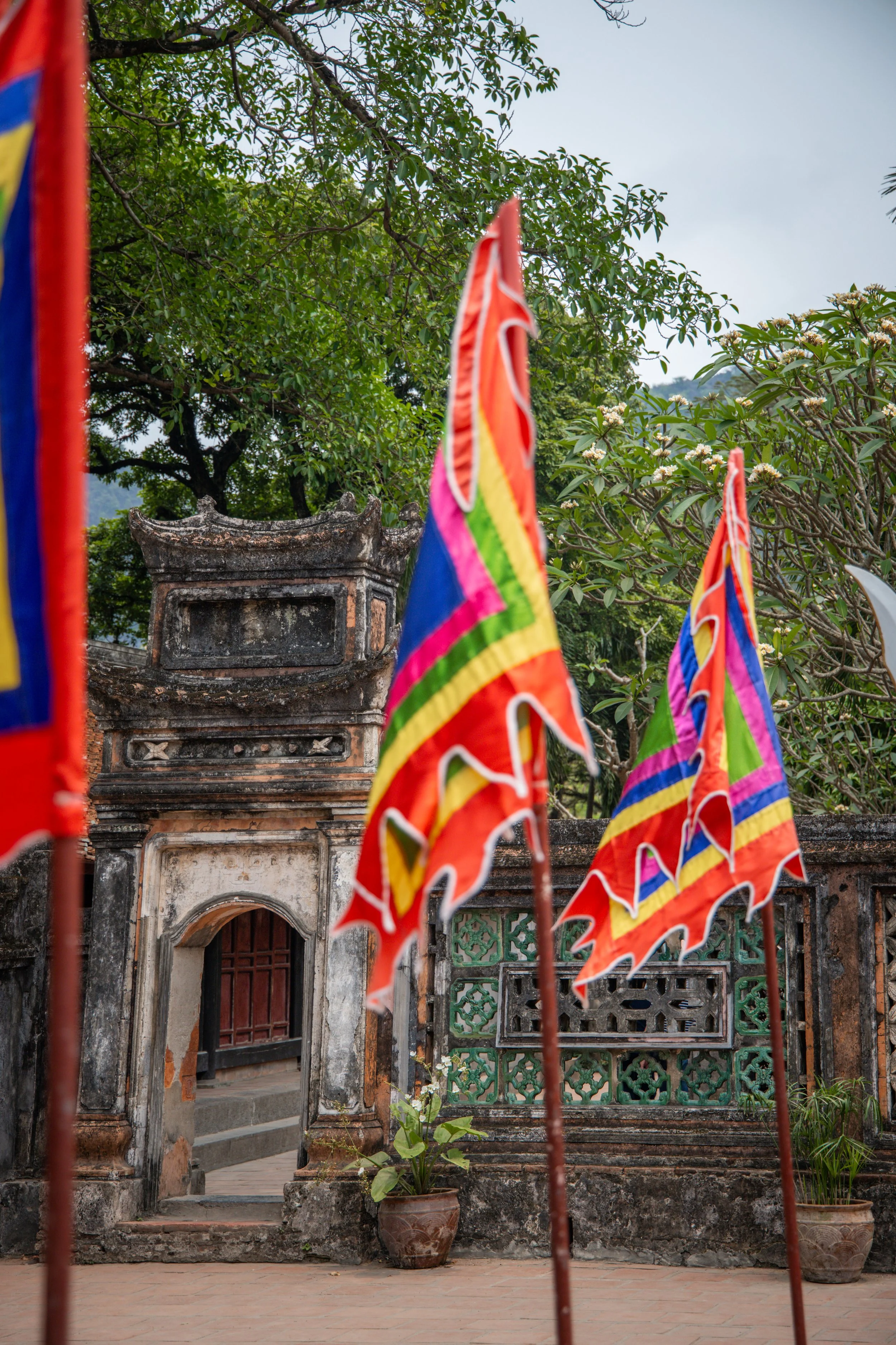 Vietnam_Koning Aap-696.jpg