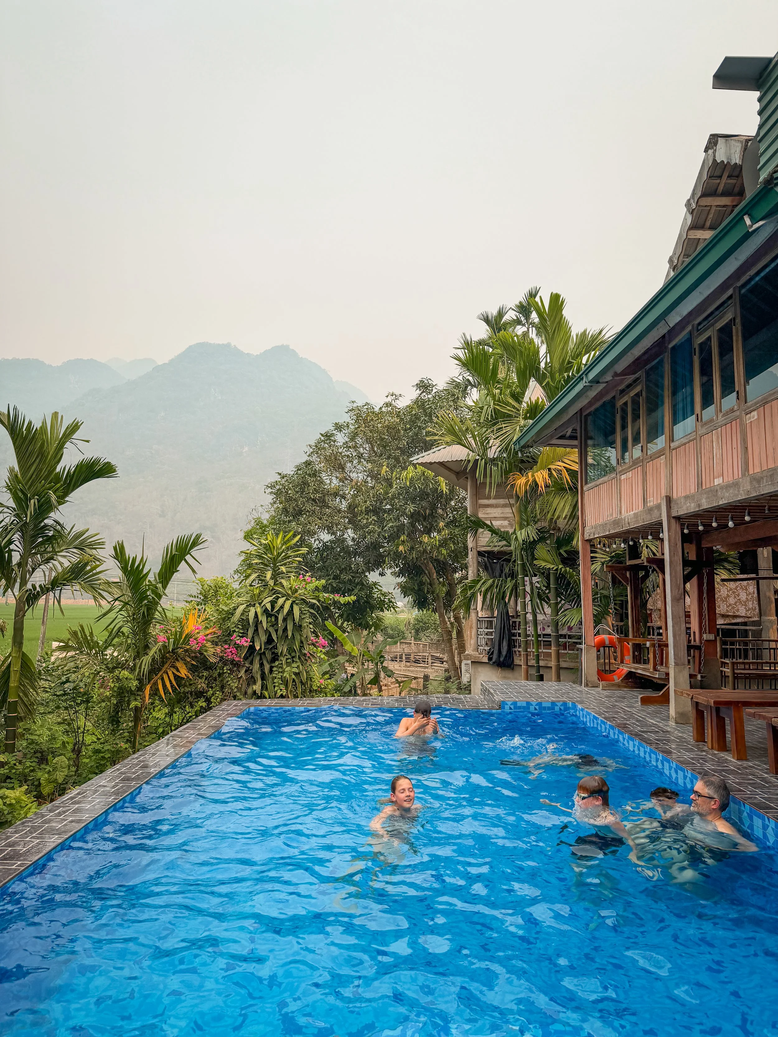 Vietnam_Koning Aap_IP-172.jpg
