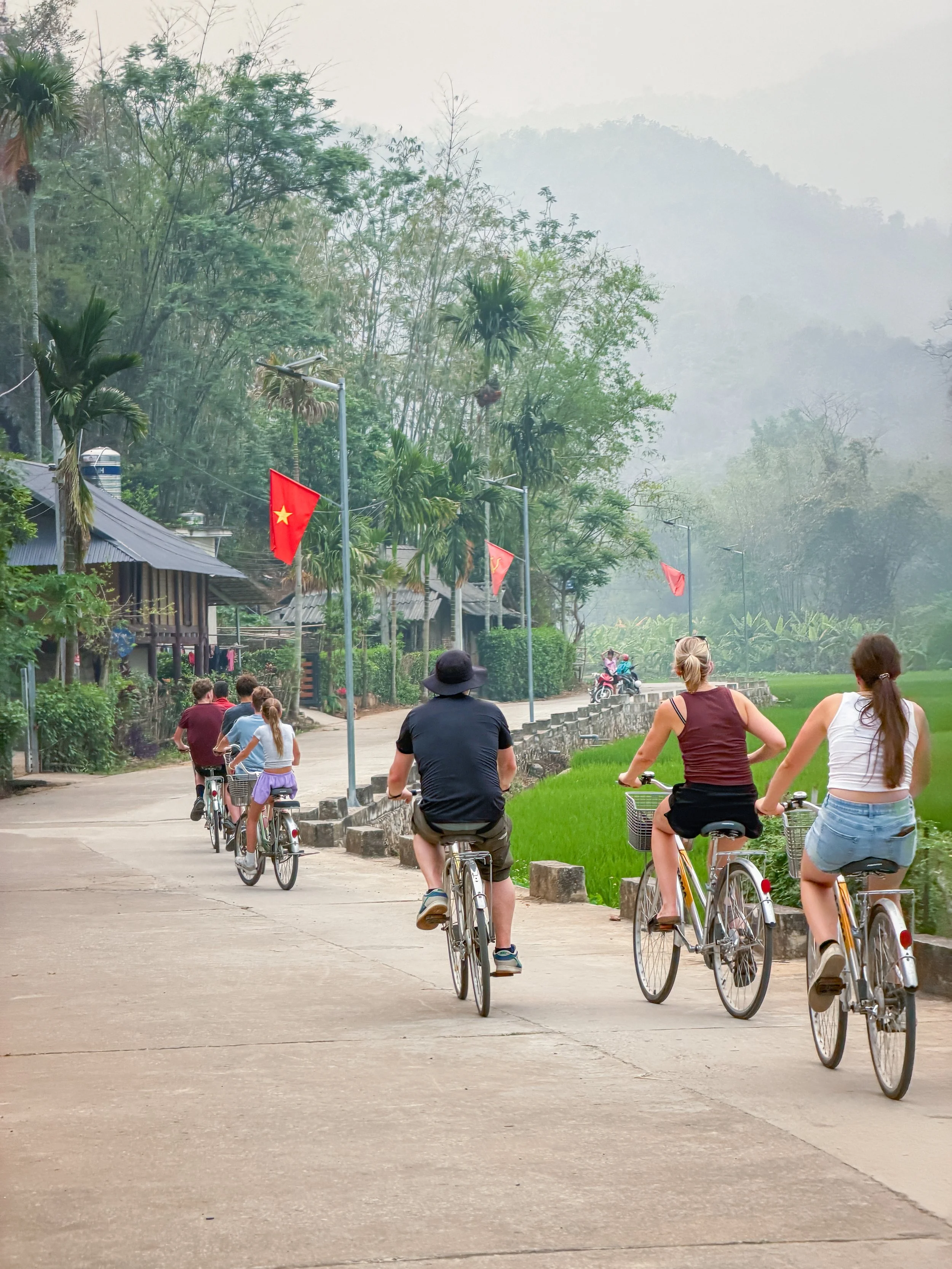 Vietnam_Koning Aap_IP-185.jpg