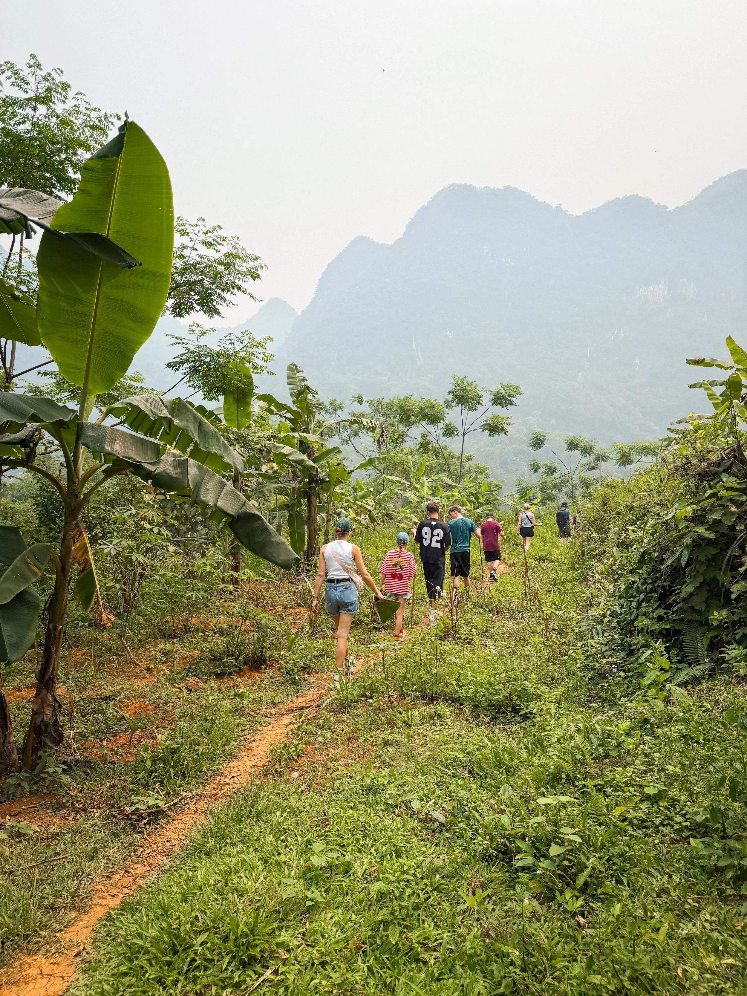 Vietnam_Koning Aap_IP-200.jpg