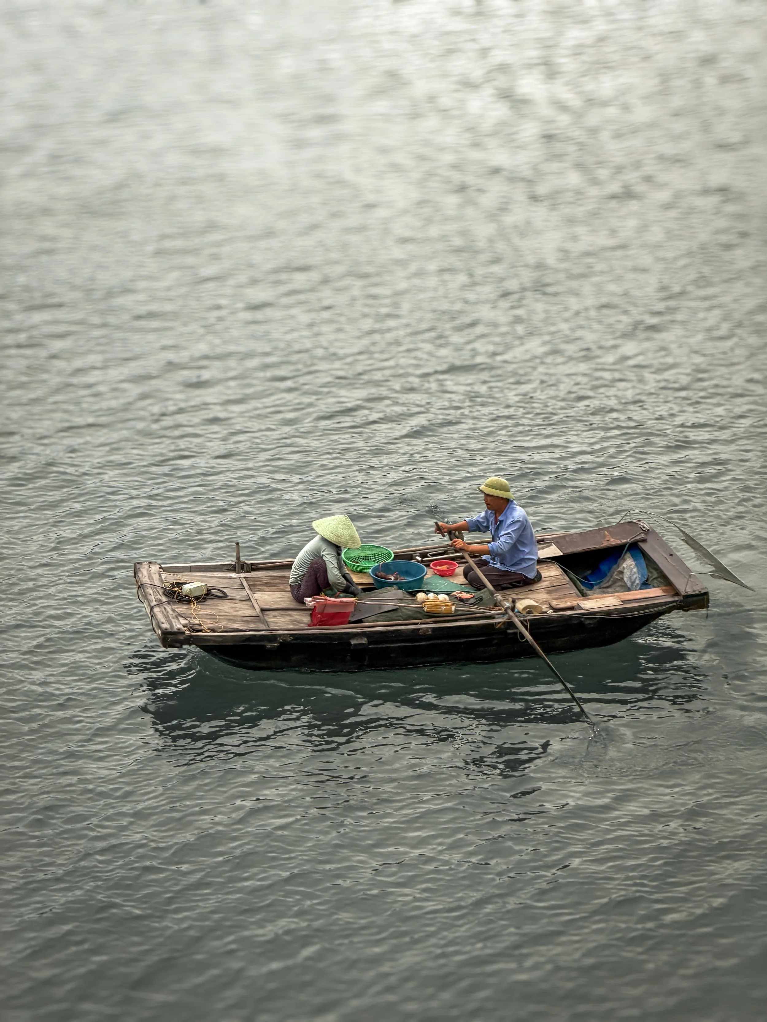 Vietnam_Koning Aap_IP-254.jpg