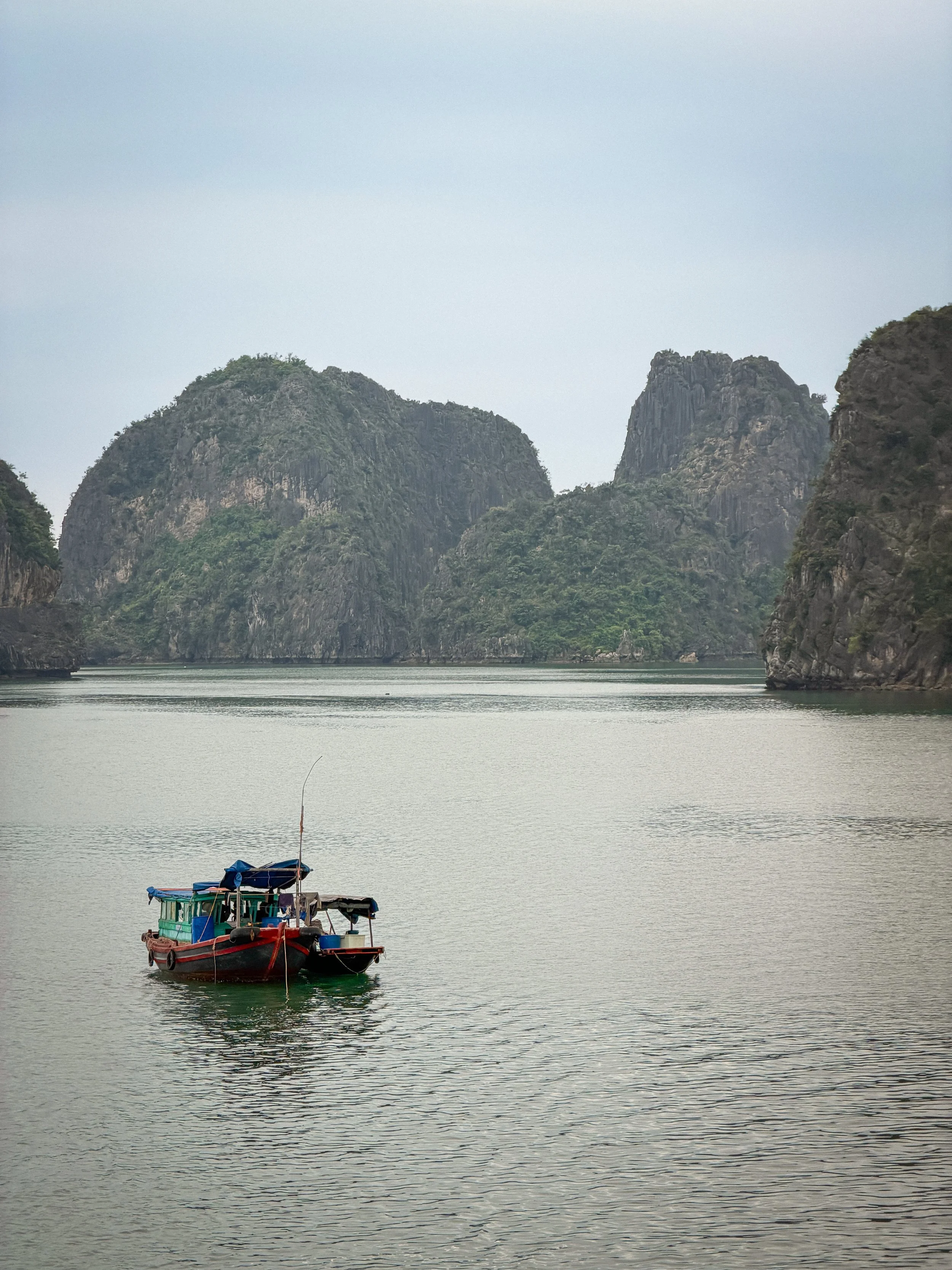 Vietnam_Koning Aap_IP-255.jpg