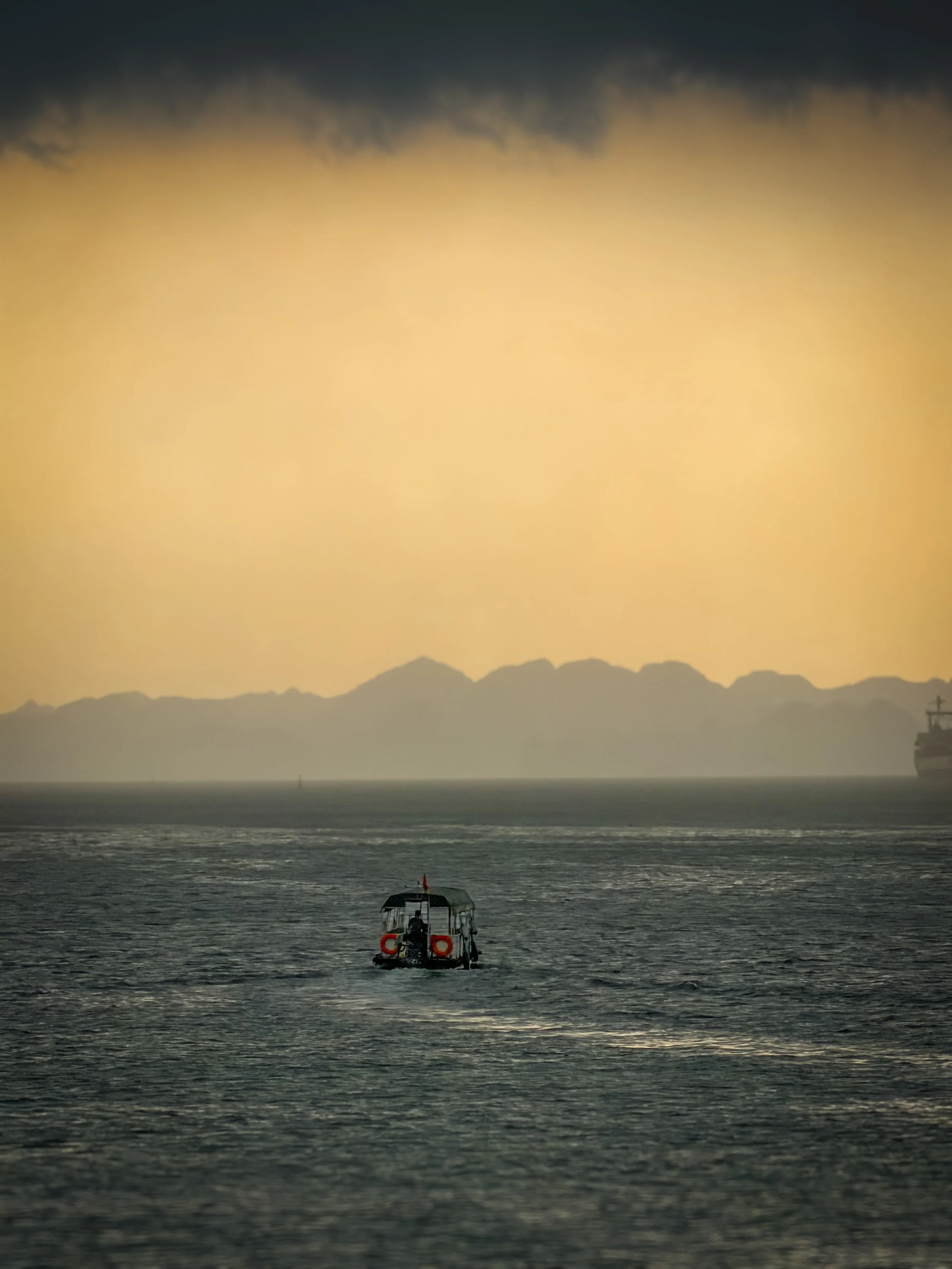 Vietnam_Koning Aap_IP-260.jpg