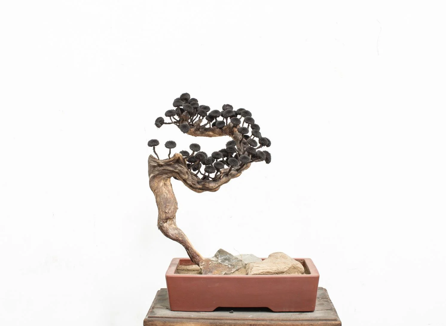 Tea Ceremony x Wang Guangxu Exhibition at 10 Chancery Lane Gallery