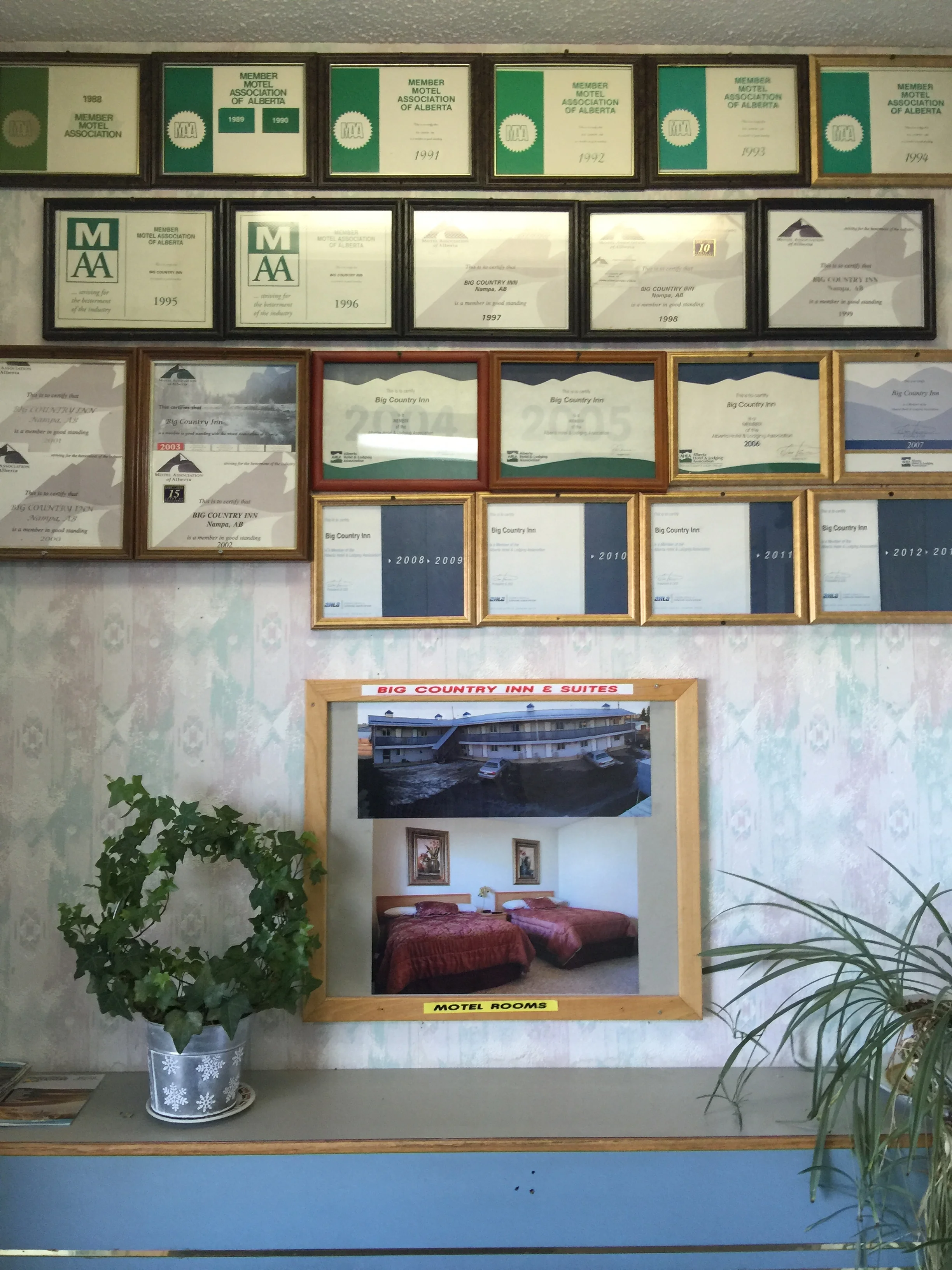 IMG_1383.jpeg