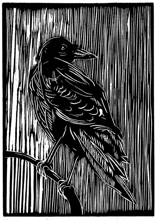 Crow