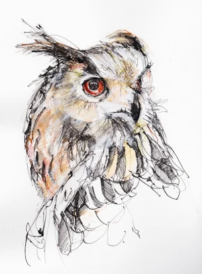 Eagle Owl
