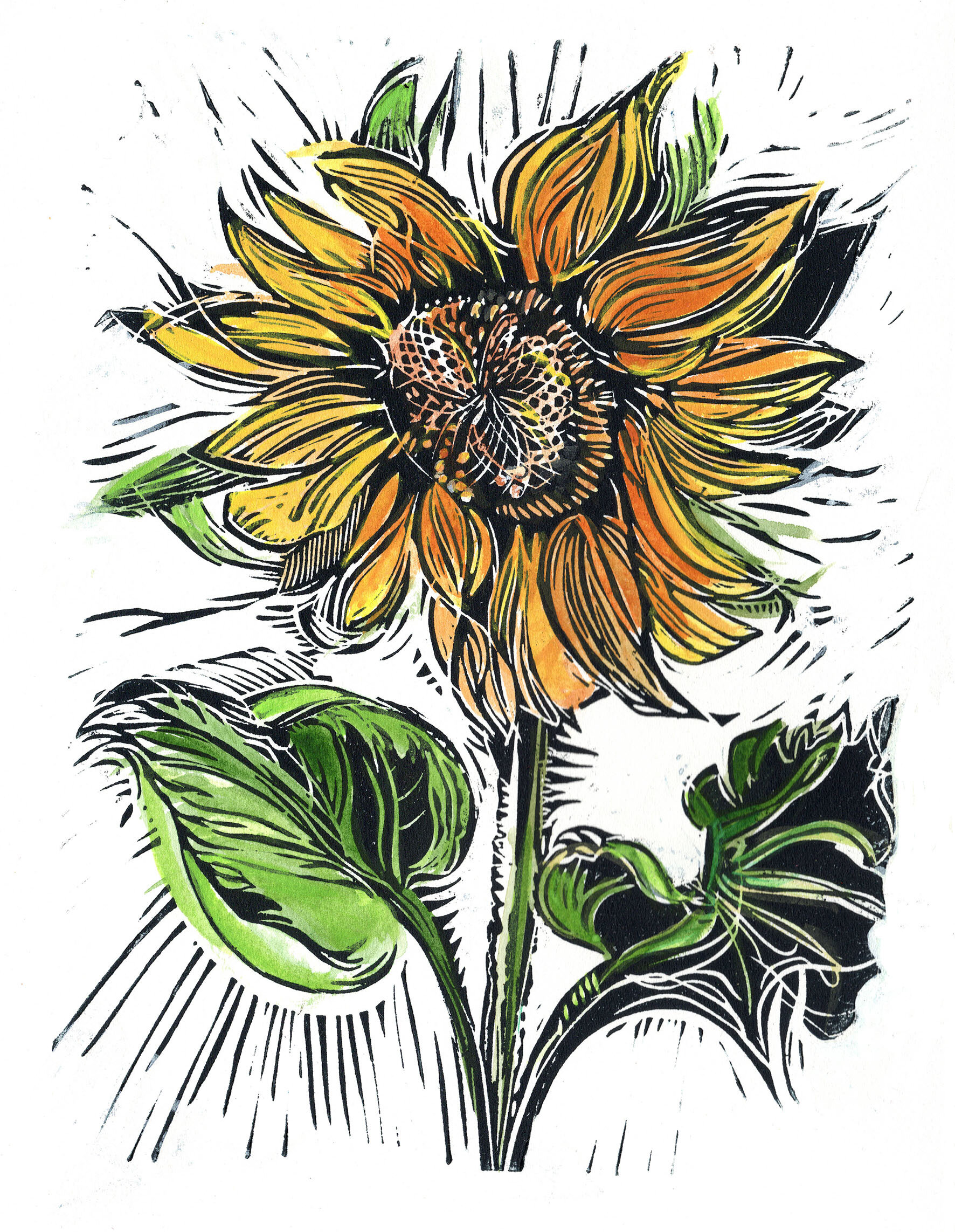 Rachel Collier-Wilson Sunflower