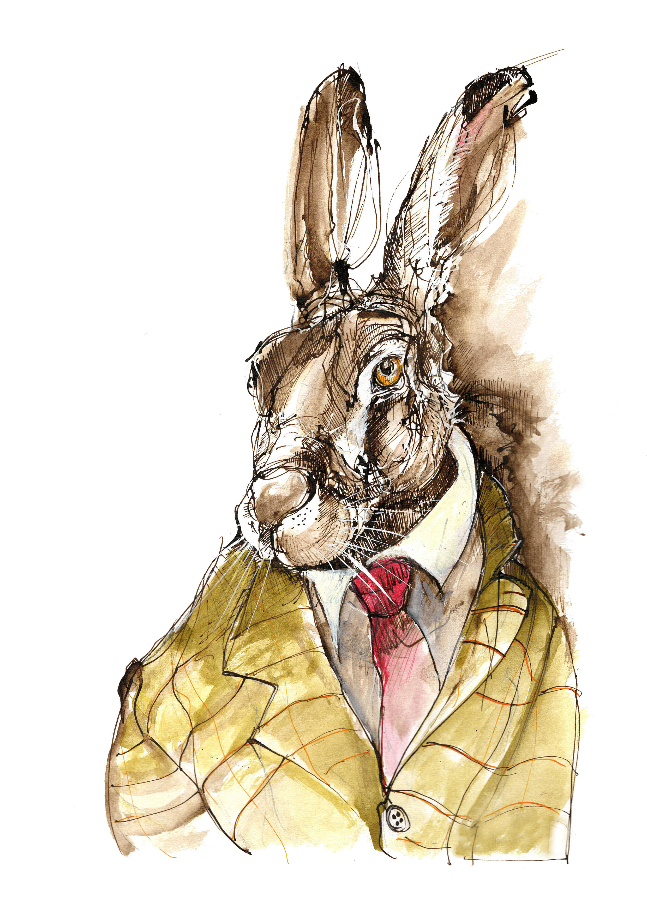 Hare Suit