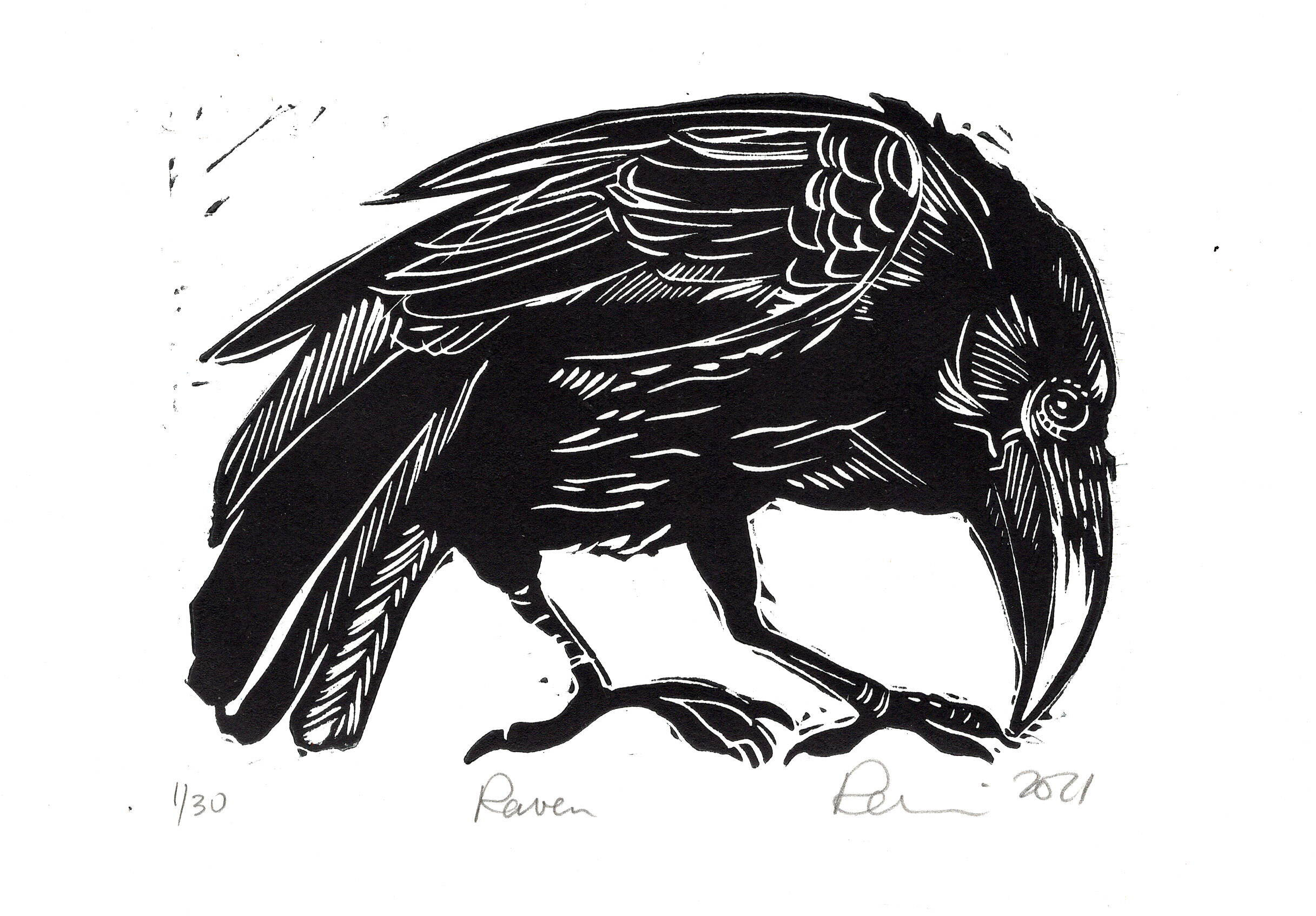 Raven - linocut print