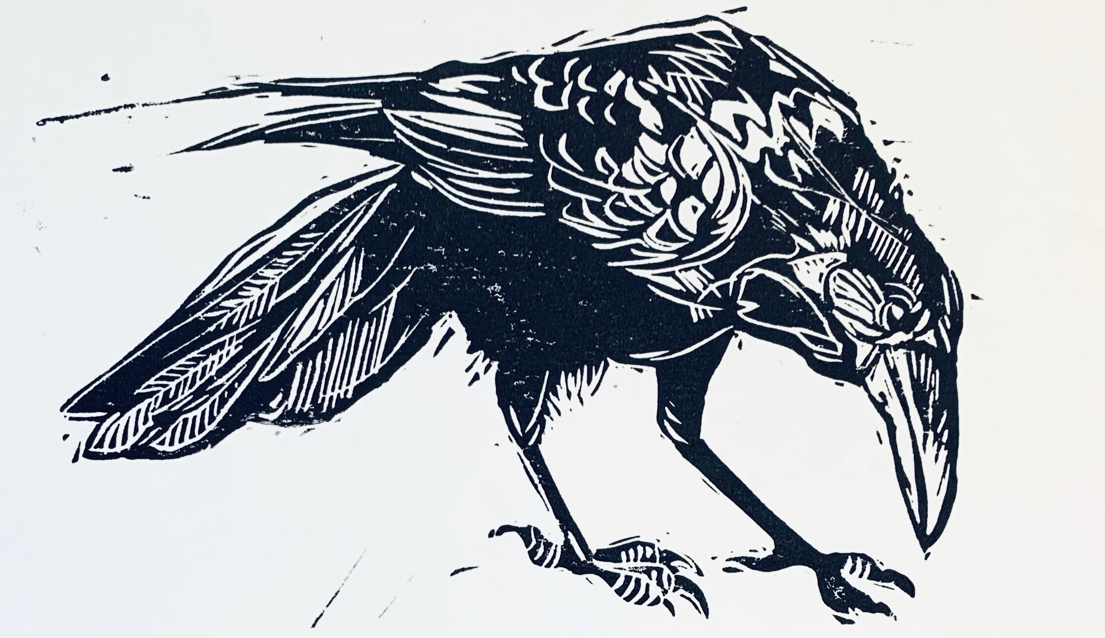 Inquisitive Crow - Linocut