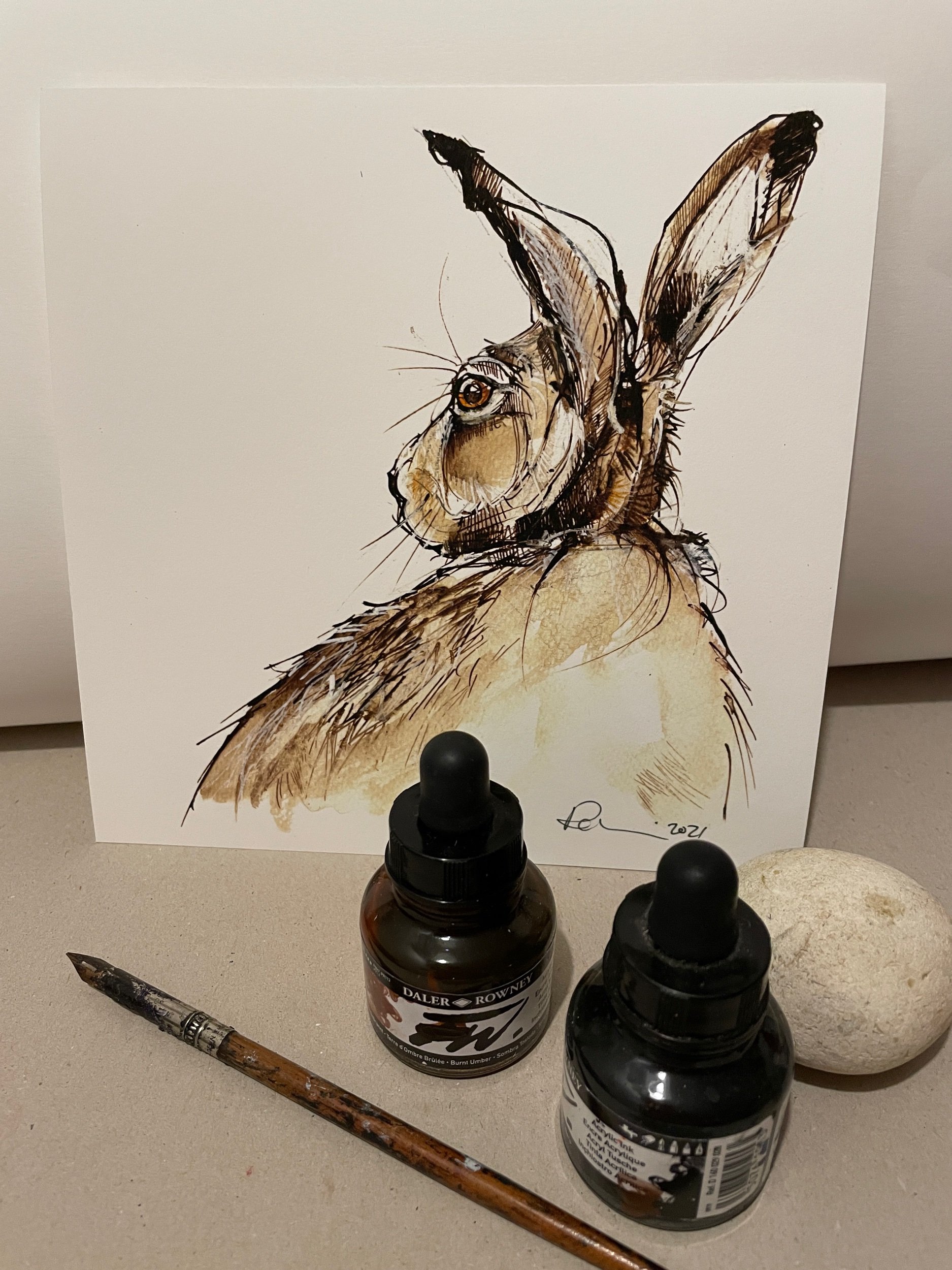 Hare ink drawing