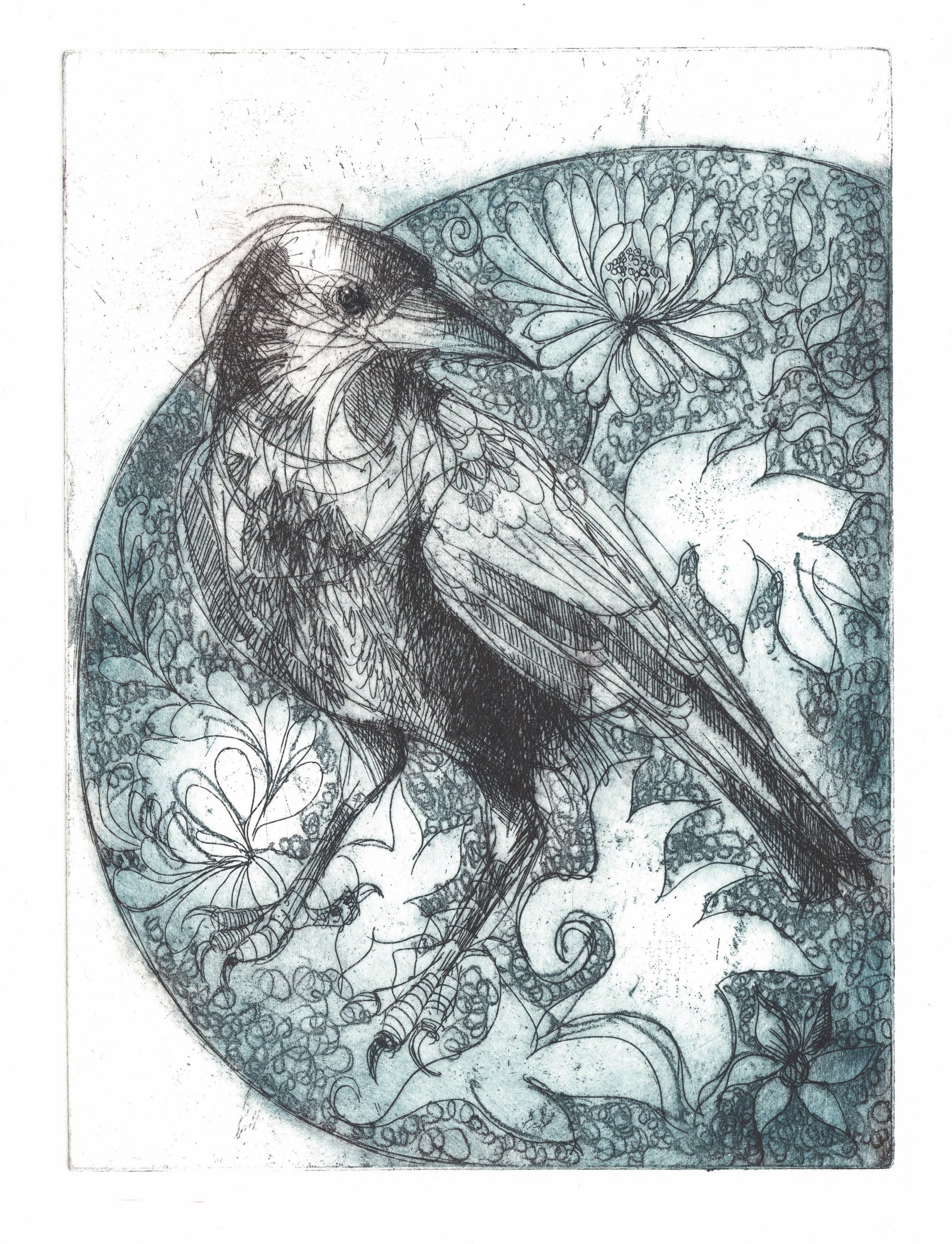 Crow with Chrysanthemums - Etching