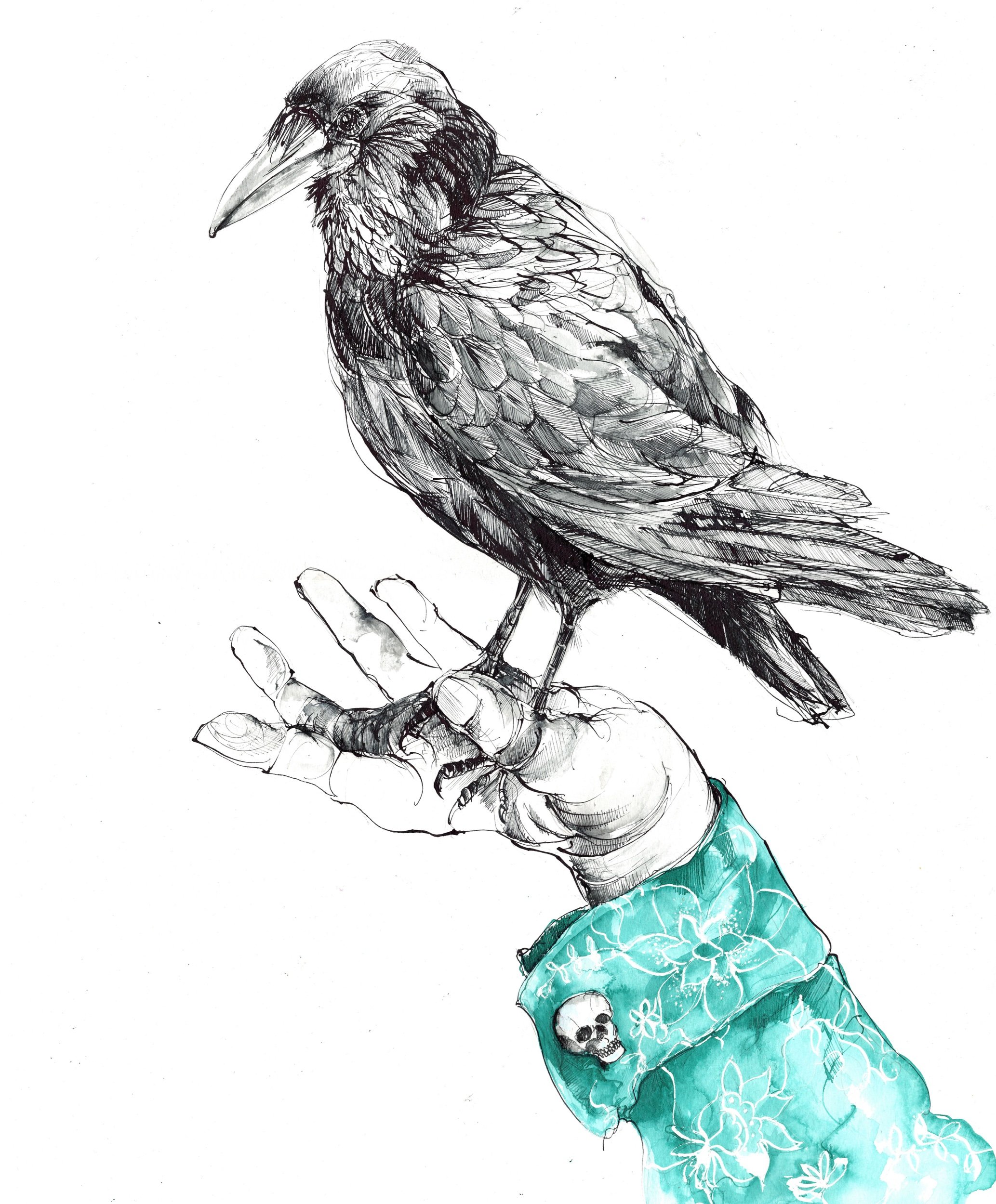 Bird I  The Hand 
