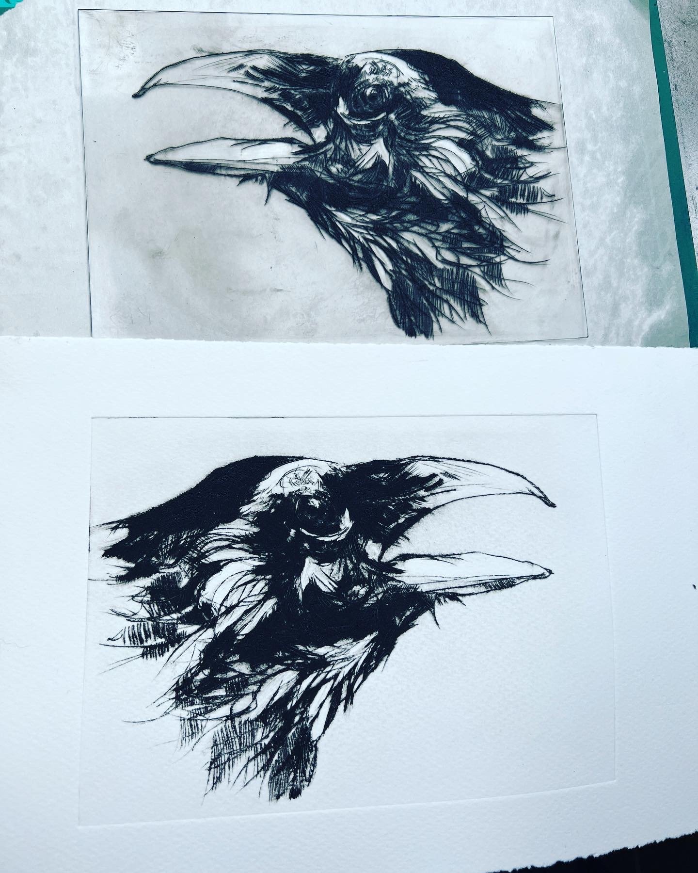  Caw - Drypoint  etching 