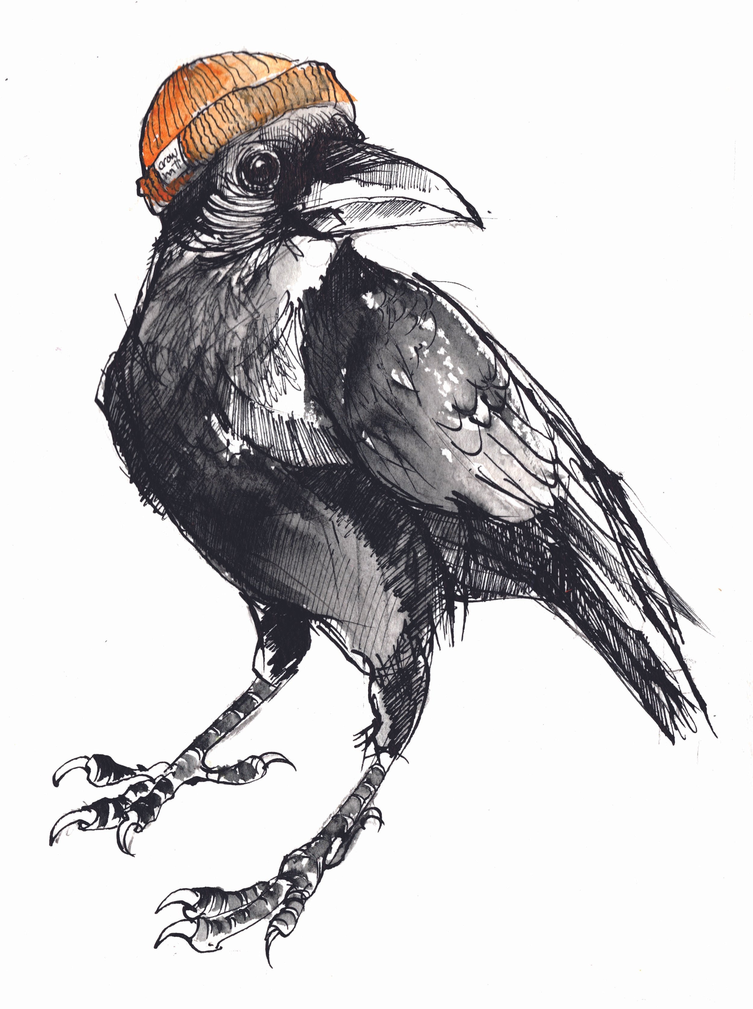 Crow in An Orange Beanie