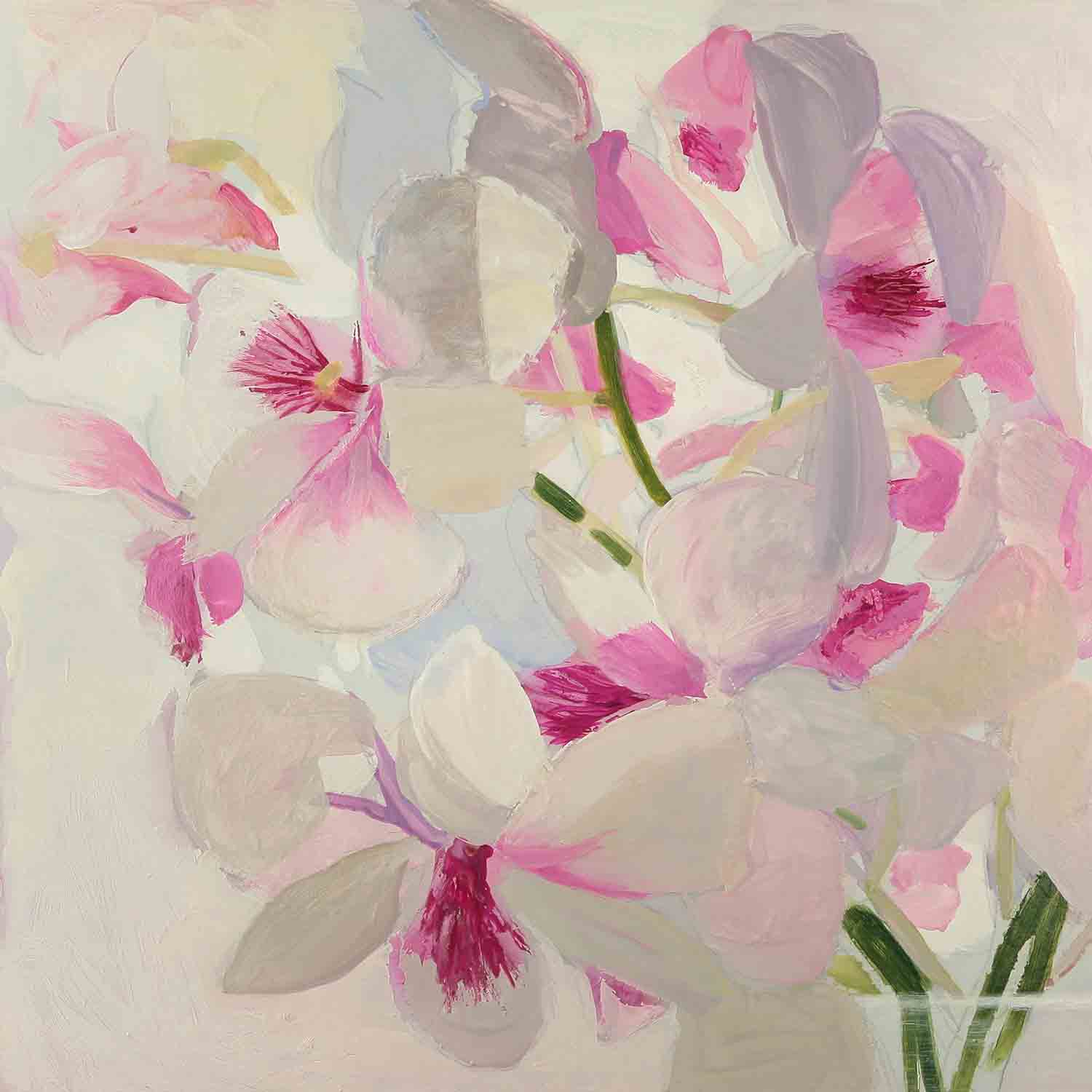 Pink And White Orchids