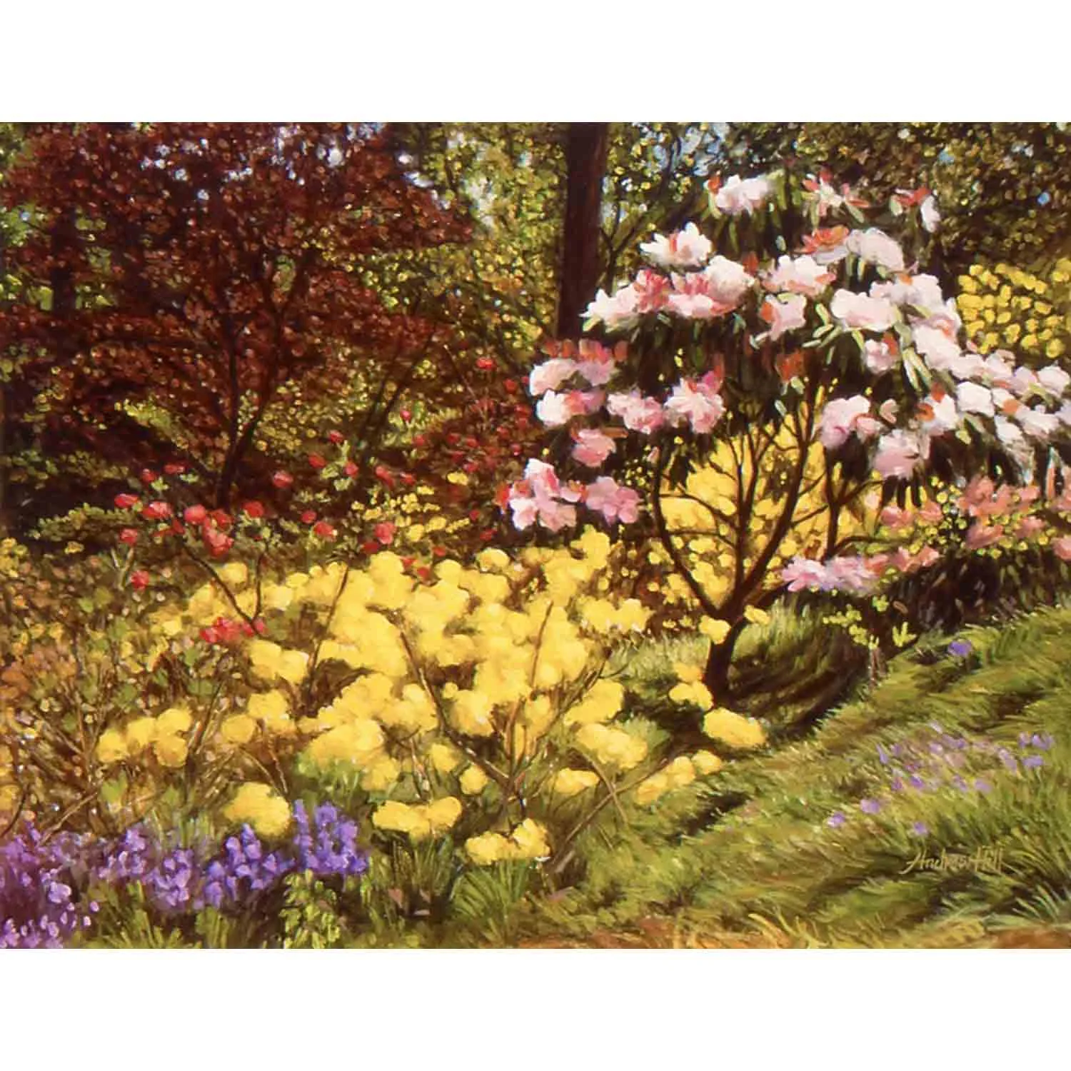 Leonardslee Blooms - oil on board