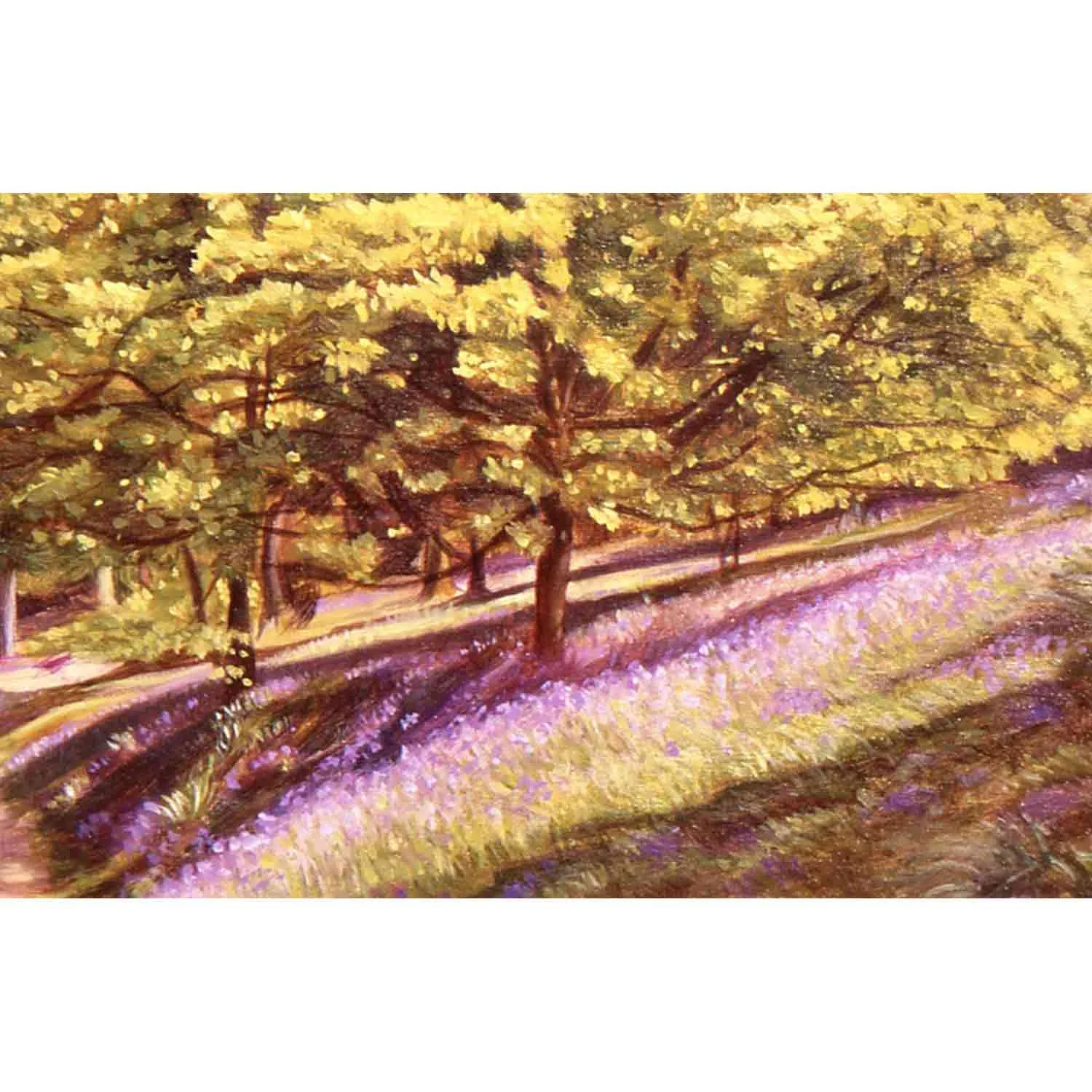 Bluebell Wood - oil on board