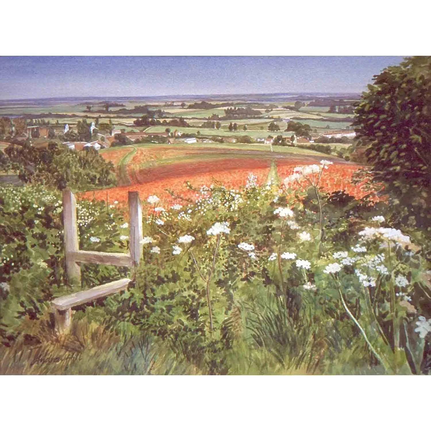 Poppies and Stile - watercolour