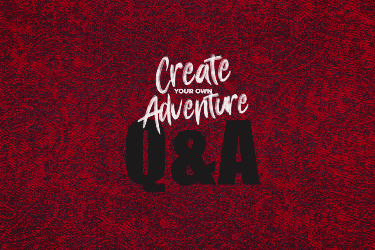 Create Your Own Adventure:India Q&amp;A
