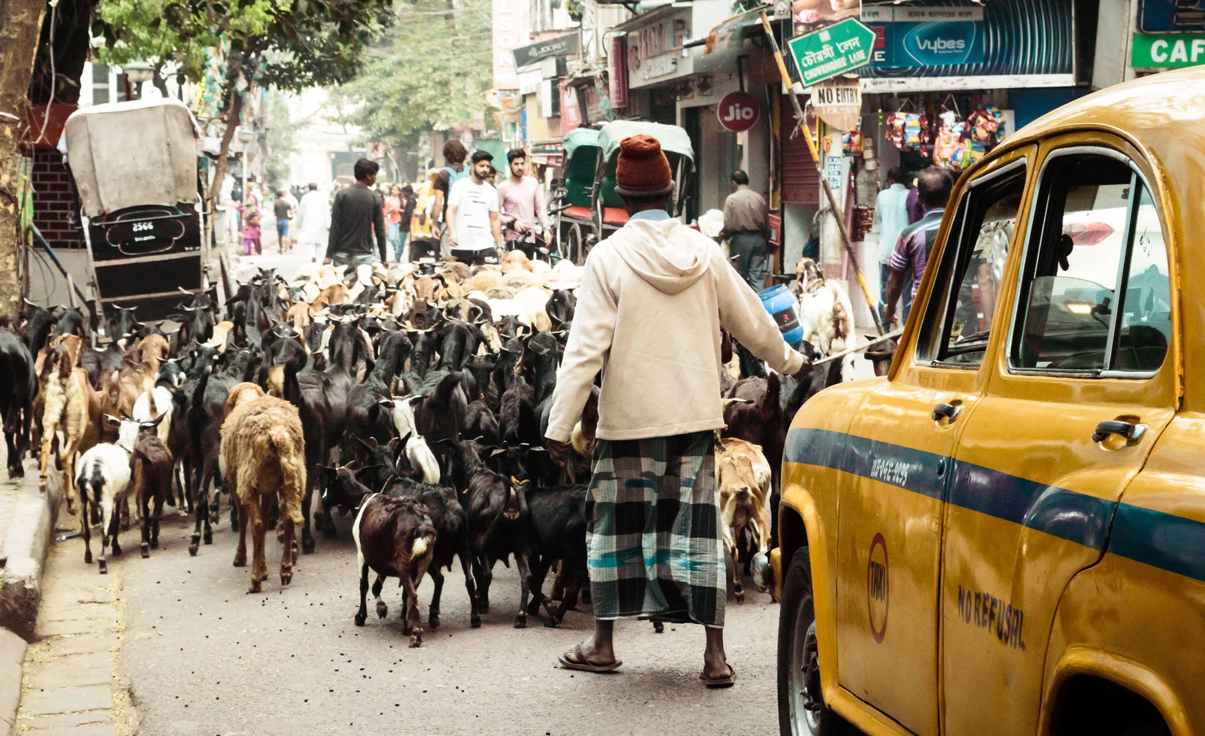 The Real Reason I Am Walking Across India 