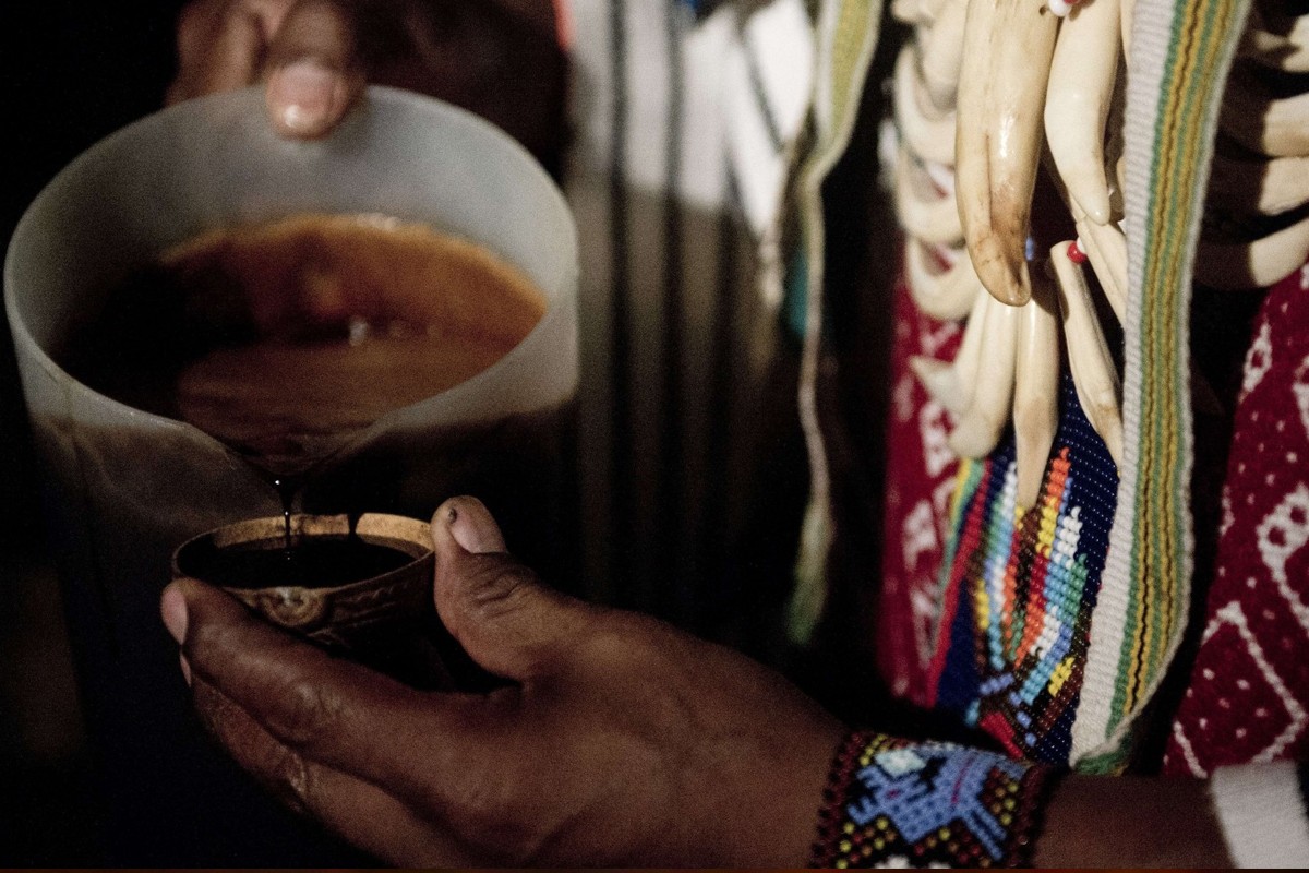 Ayahuasca being prepared