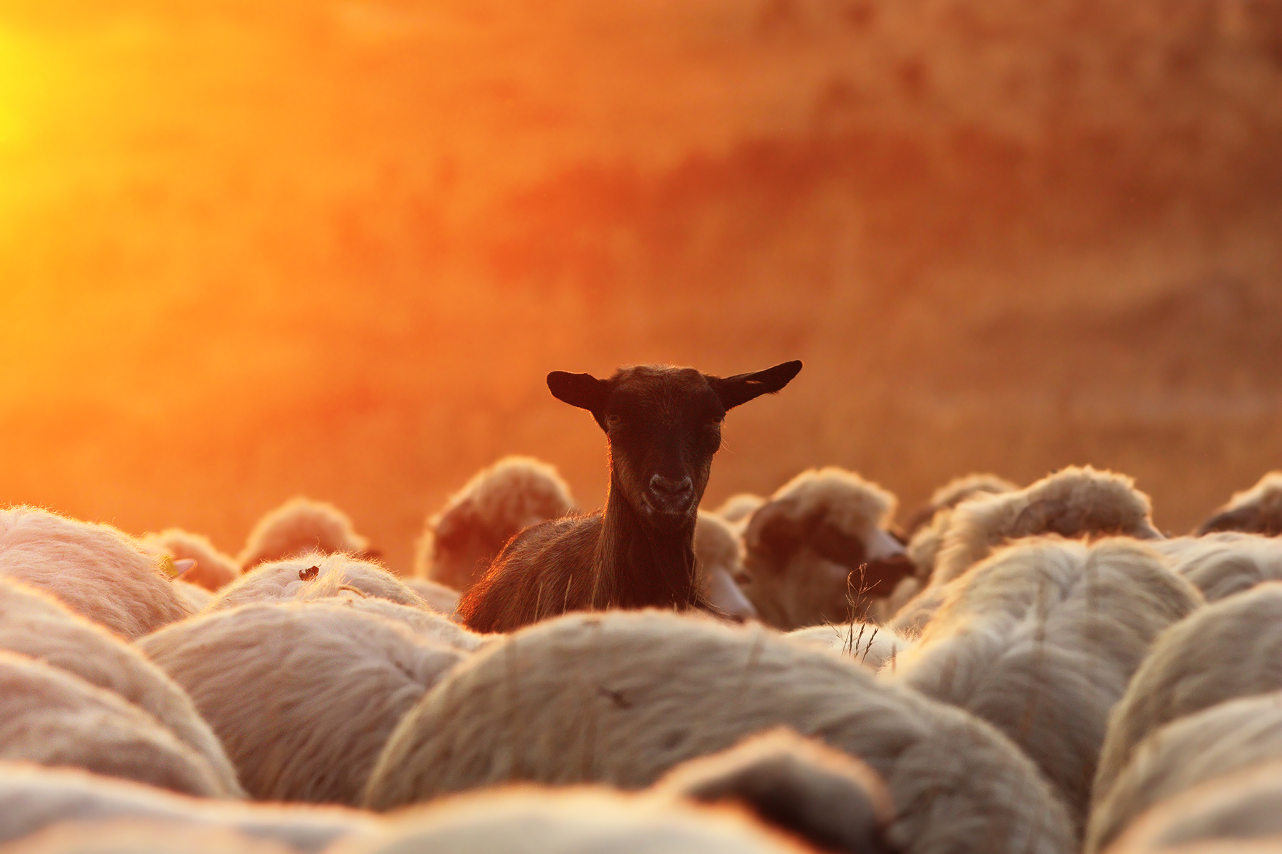 How to be more successful with your goals and avoid being a self-righteous twat