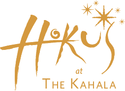 logo - hokus.png