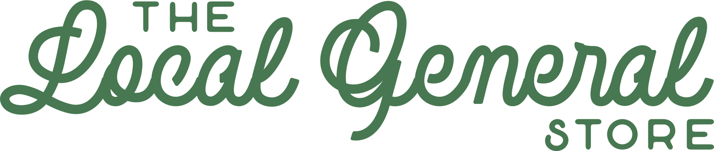 logo - local general store.webp