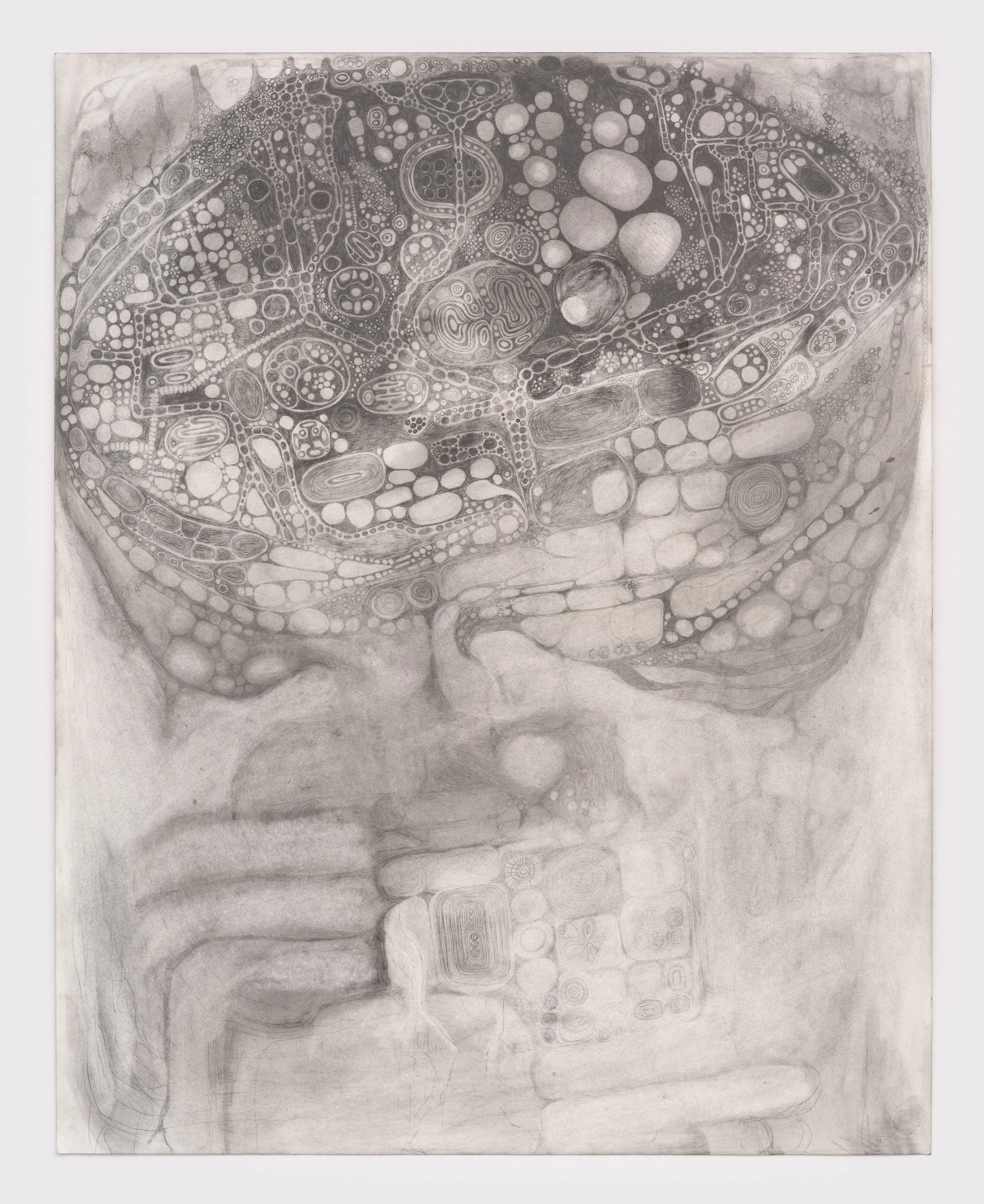 Outer One (w/Neurological Phenomena )