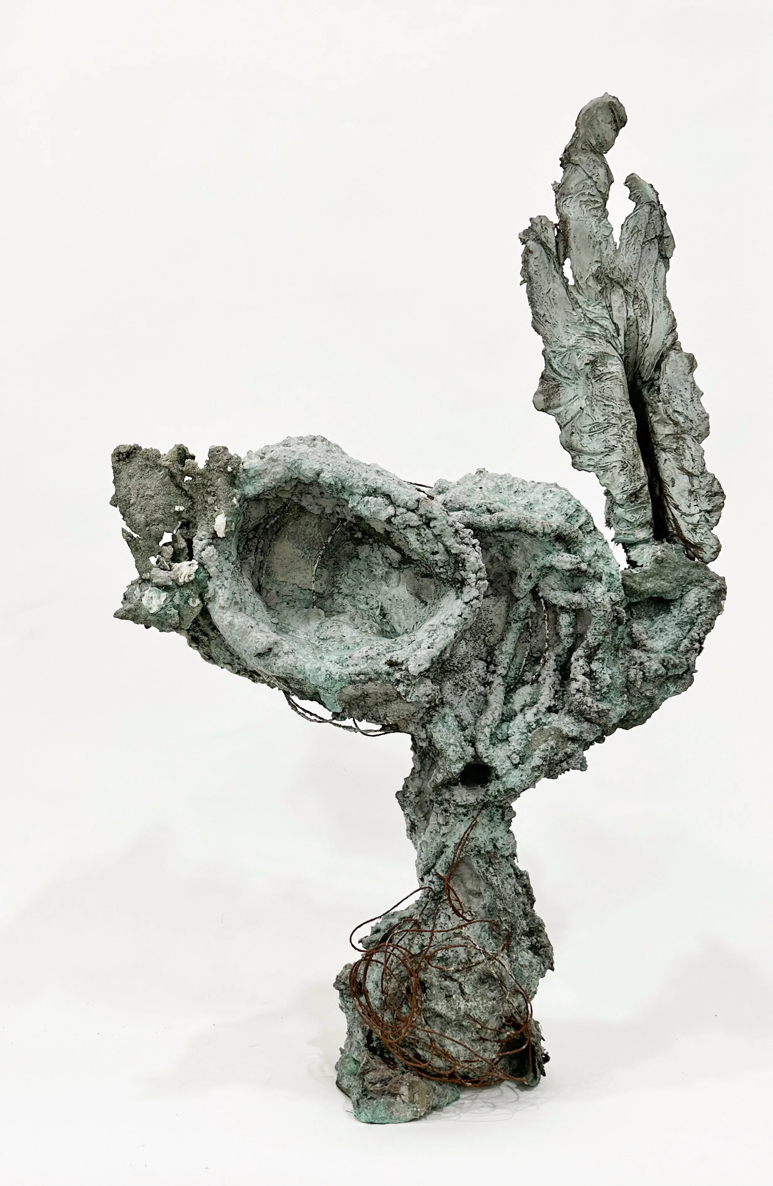 Seer w/ bog portal,