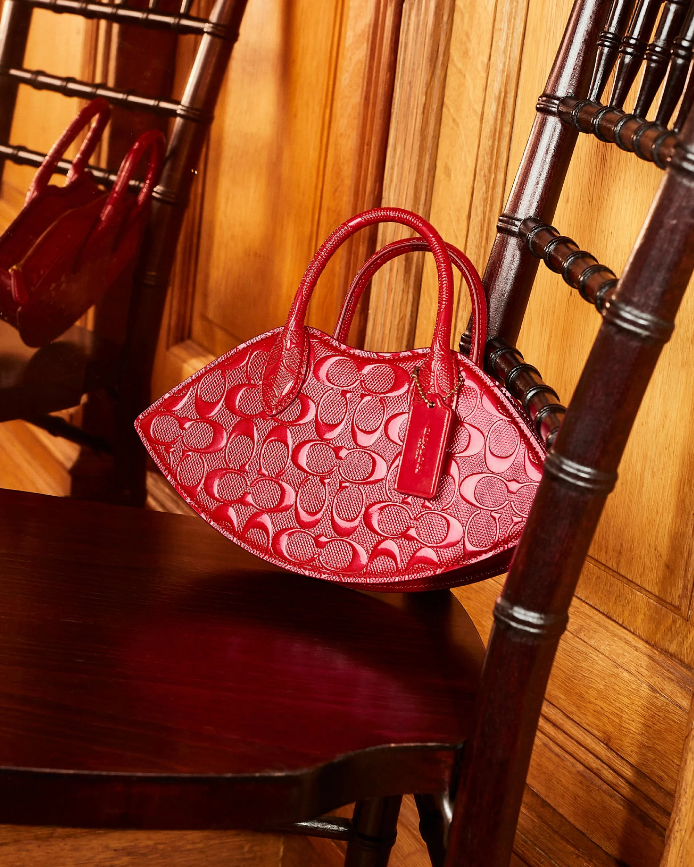 NOVELTY_BAGS_CROPS_4x5_LIPS_2.jpg