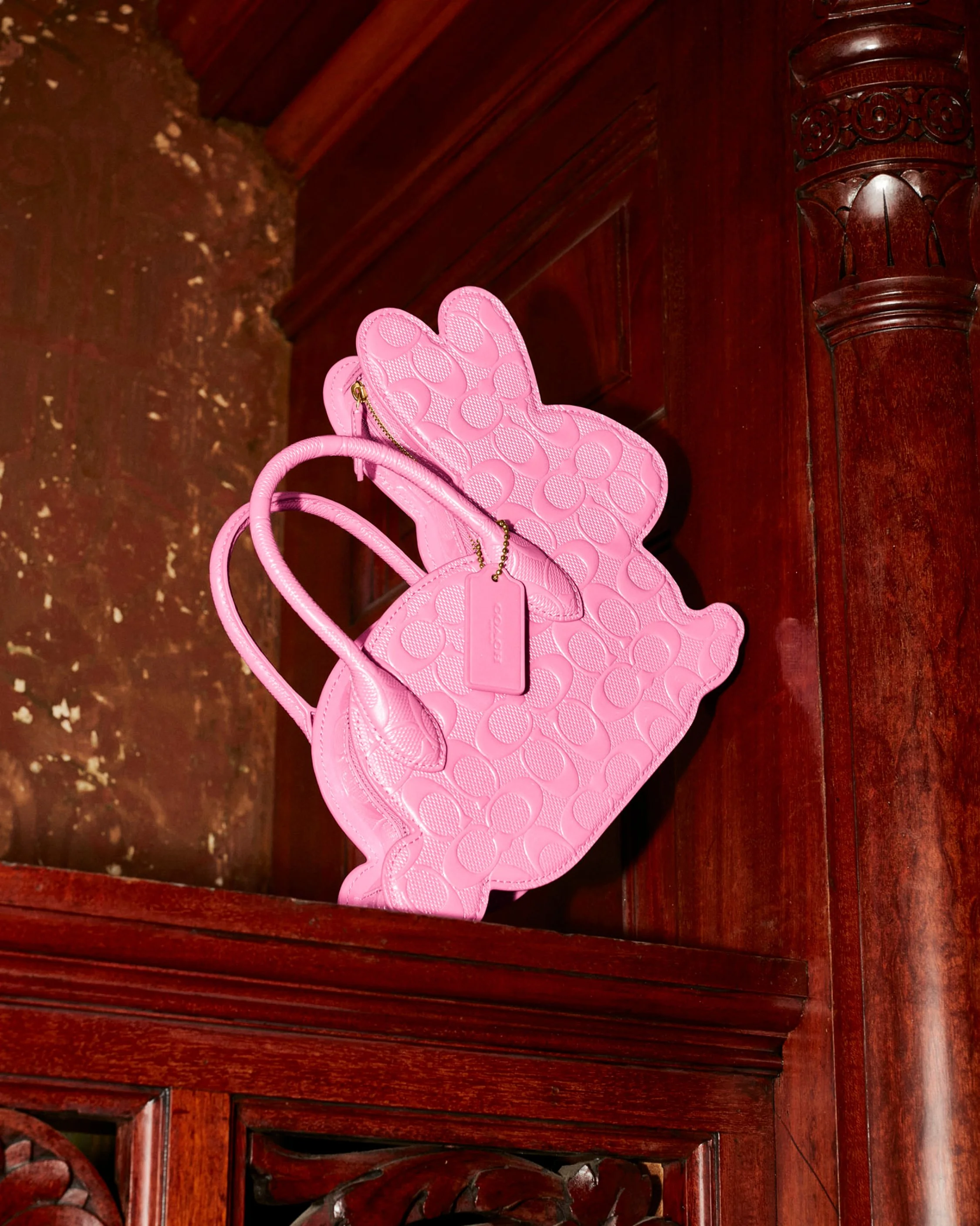 NOVELTY_BAGS_CROPS_4x5_RABBIT_2.jpg