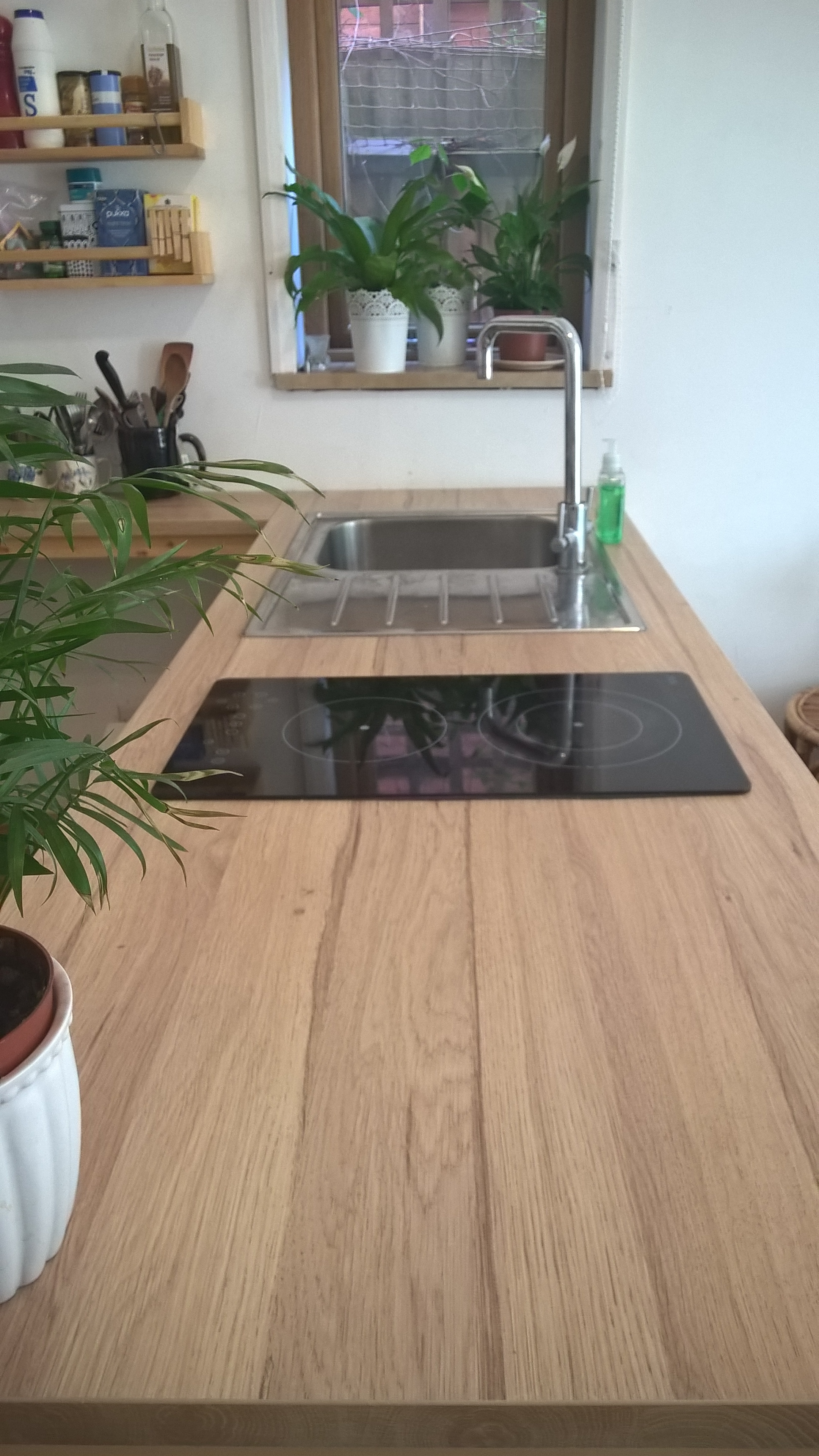 WP_20170409_11_21_31_Pro.jpg