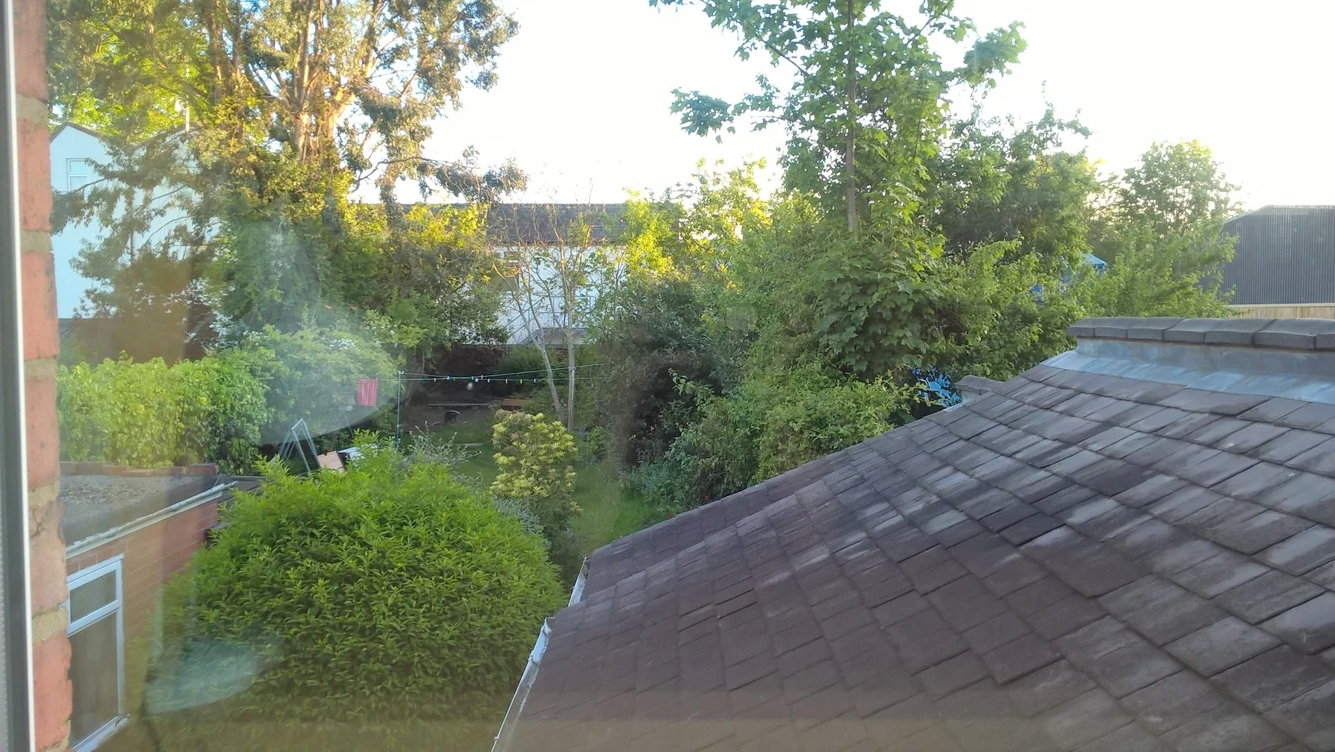 WP_20170514_20_10_56_Pro.jpg