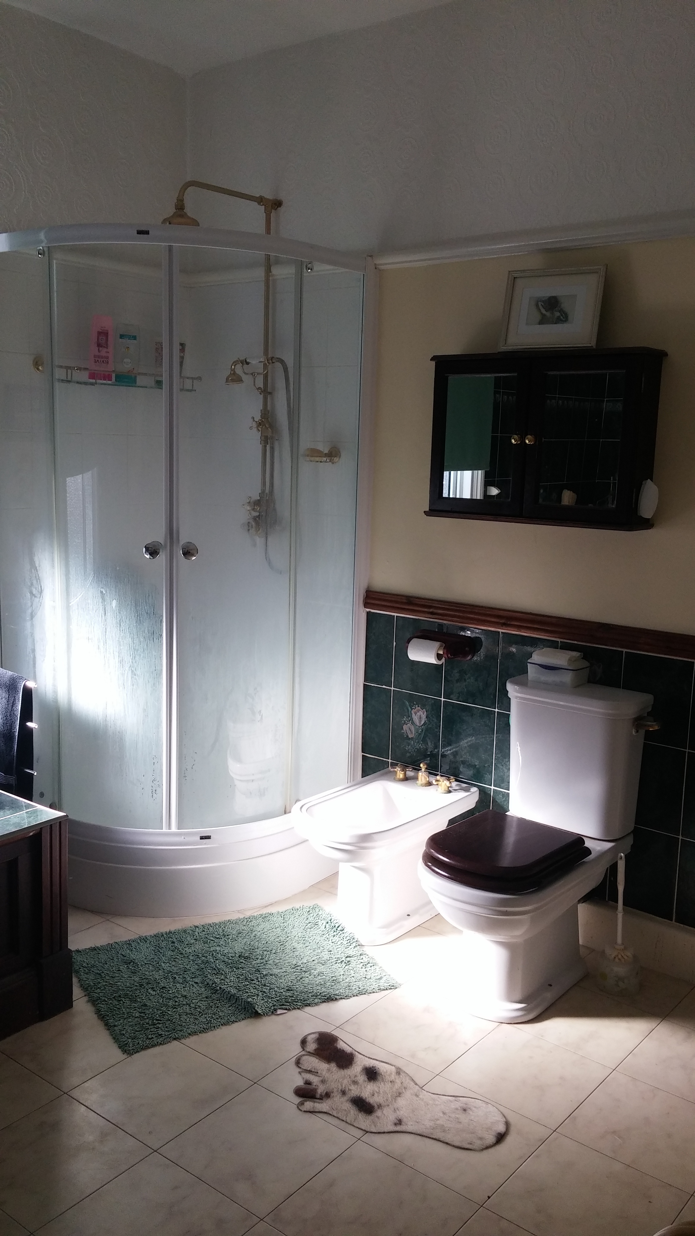 PS shower wc.jpg
