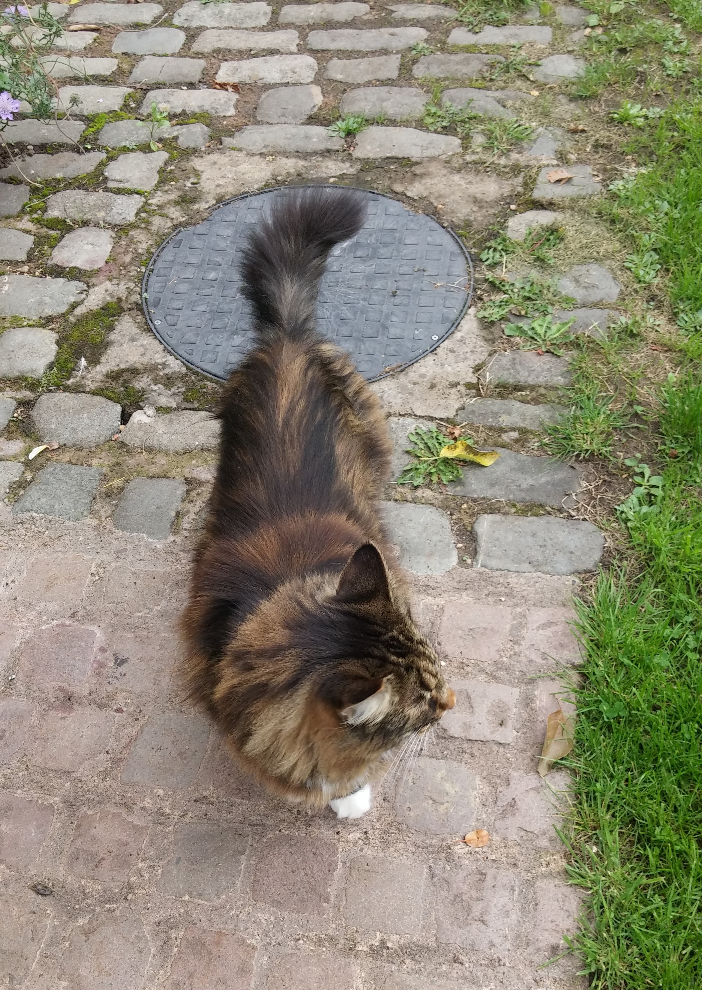 20180907_131932.jpg