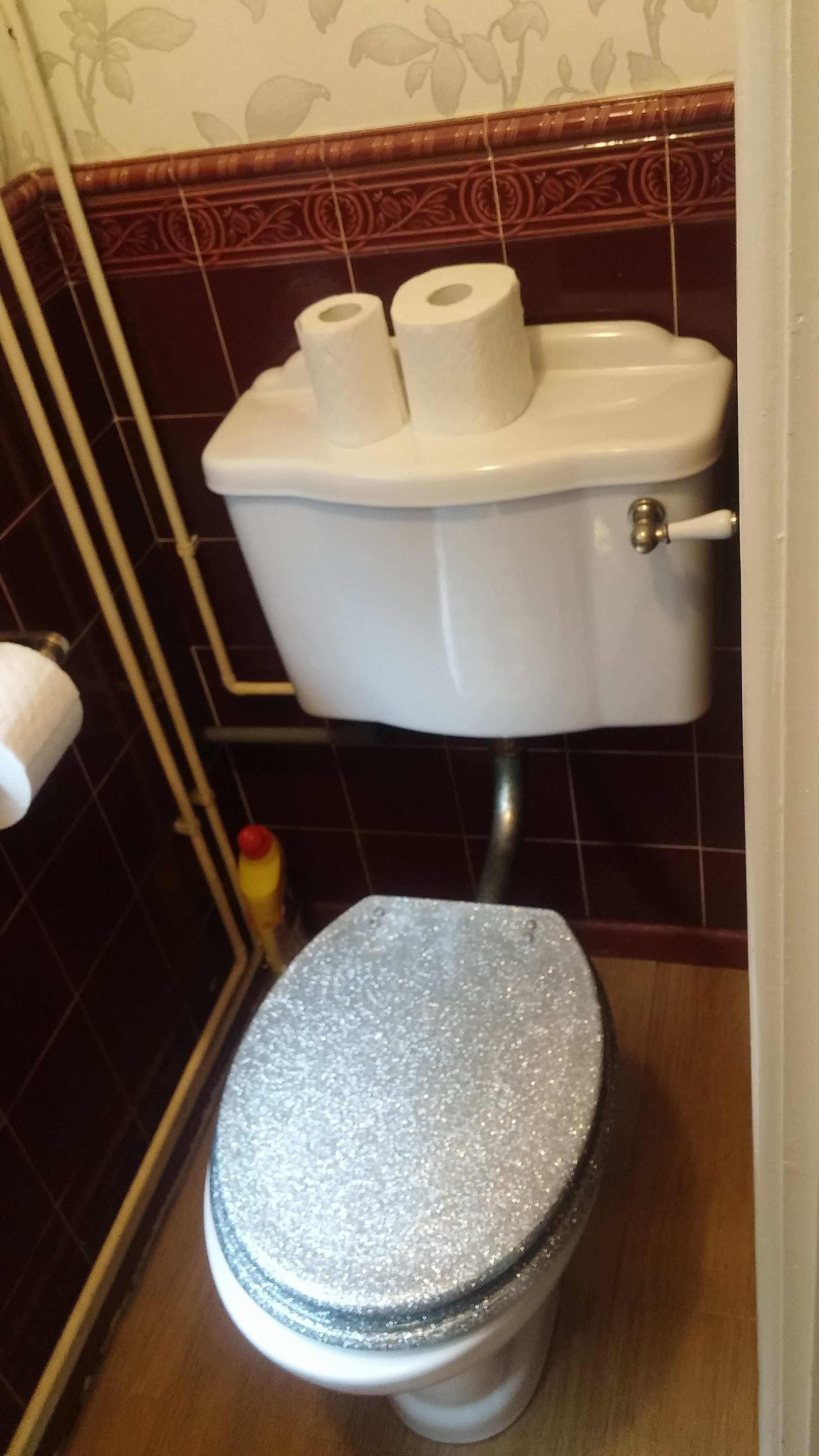 Jobs - downstairs wc .jpg
