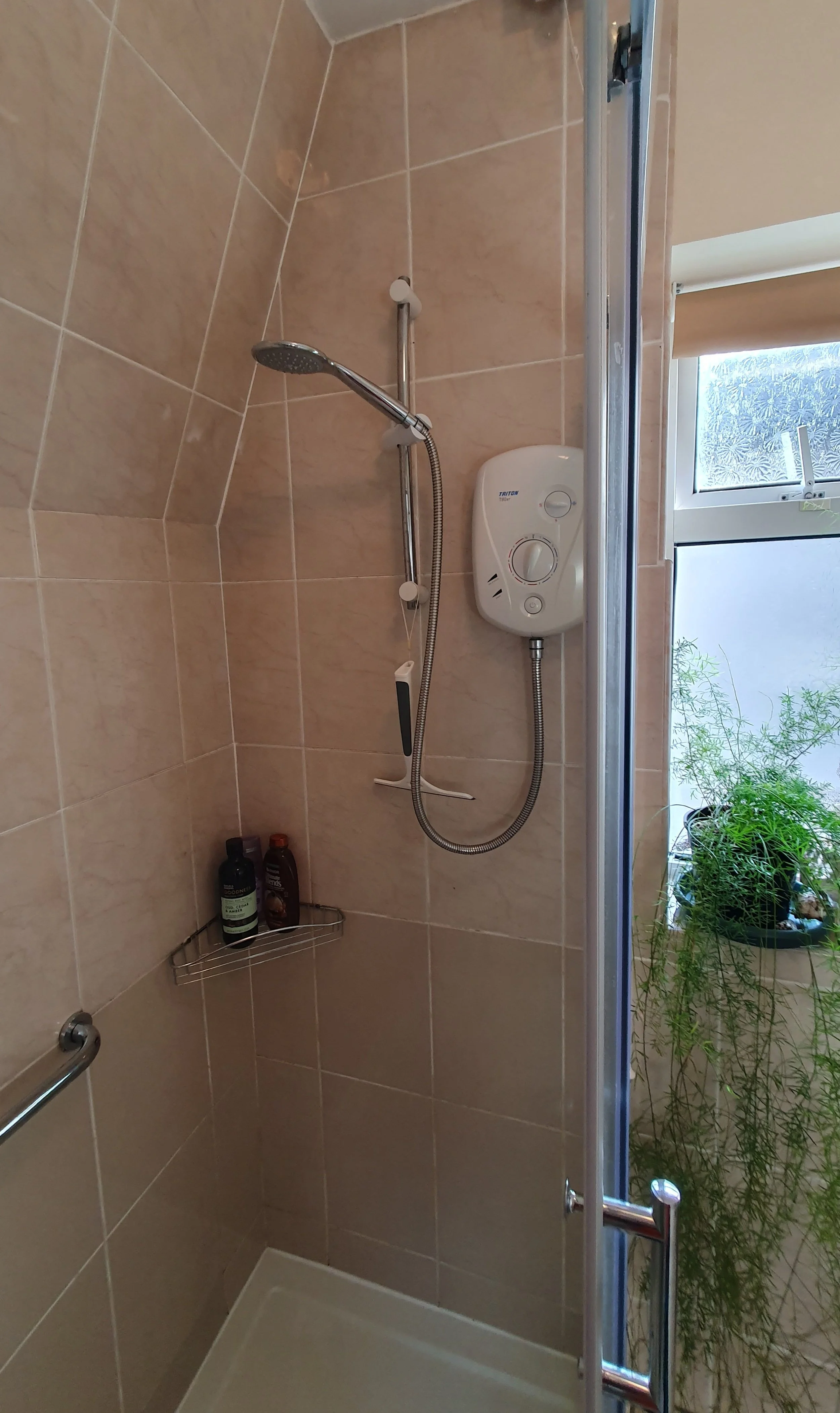 shower enclosure and plant.jpg