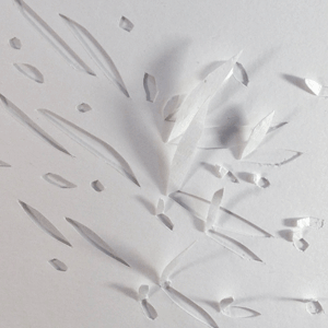 cutpaper.gif